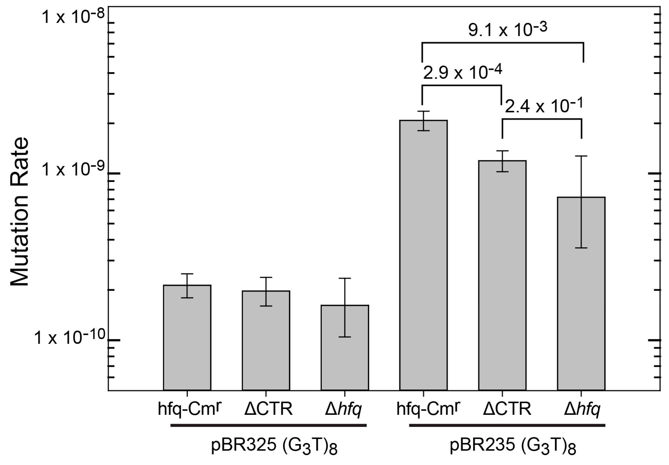 Microorganisms 08 01598 g001
