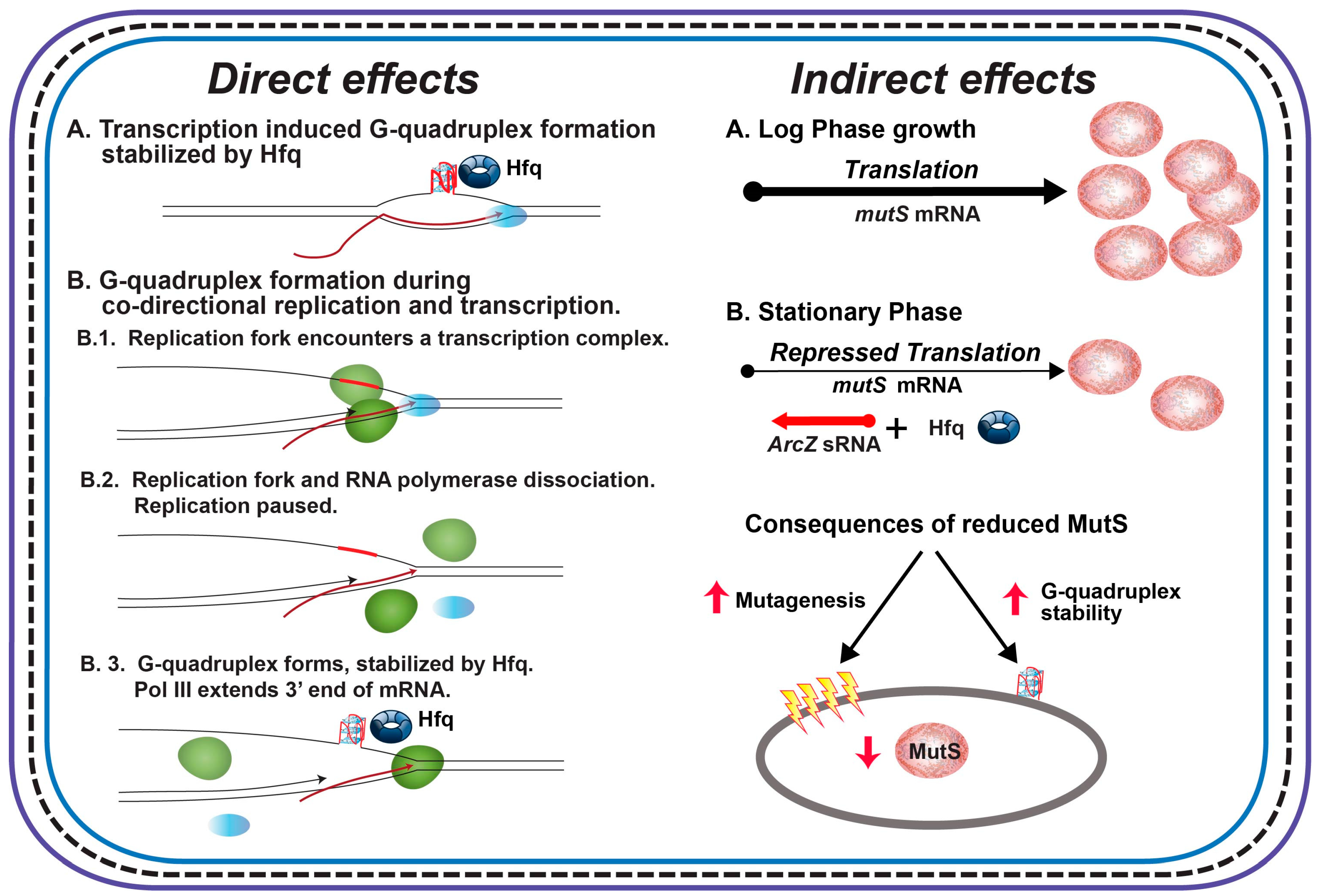 Microorganisms 08 01598 g004