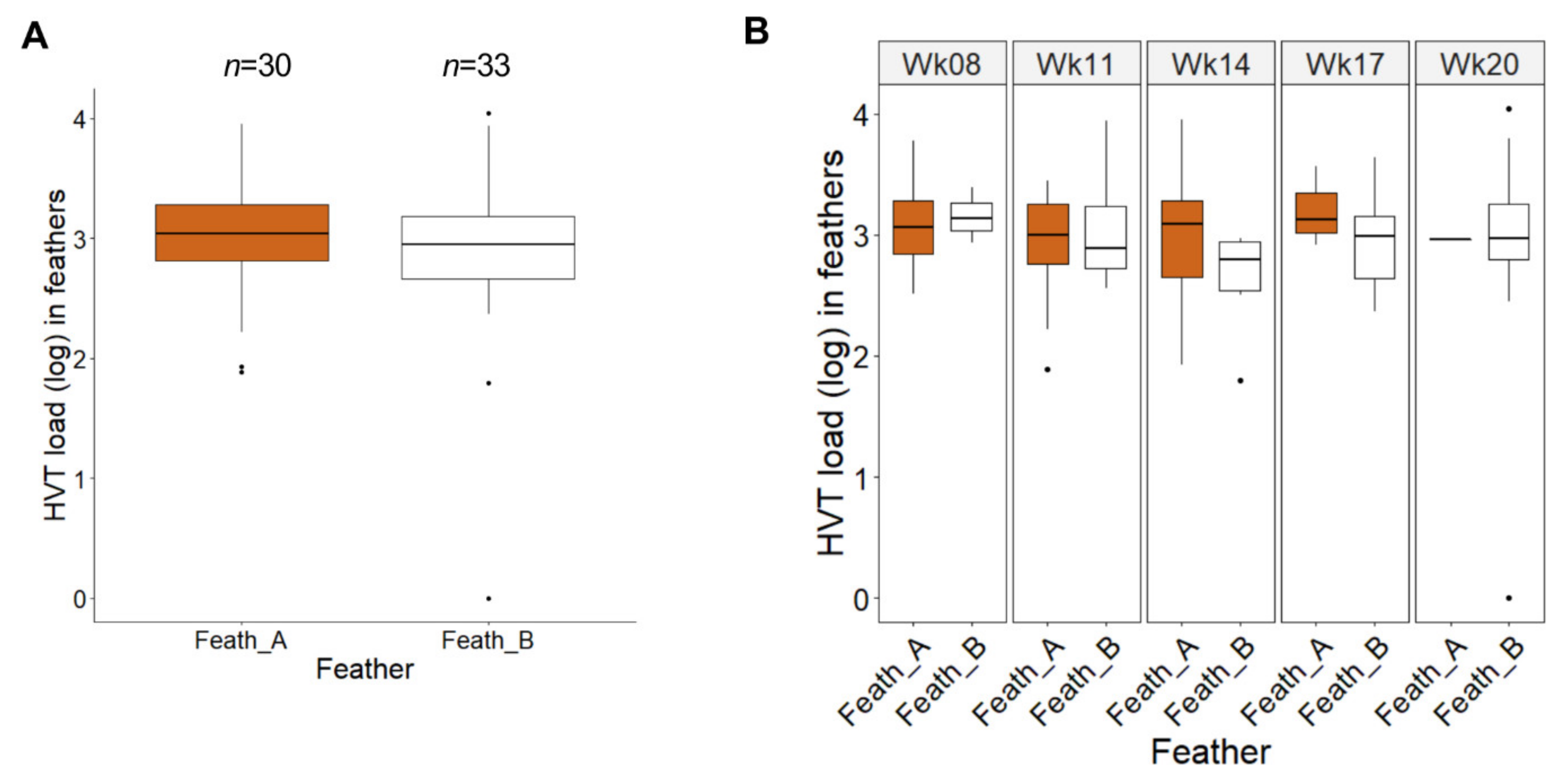 Microorganisms 08 01613 g004