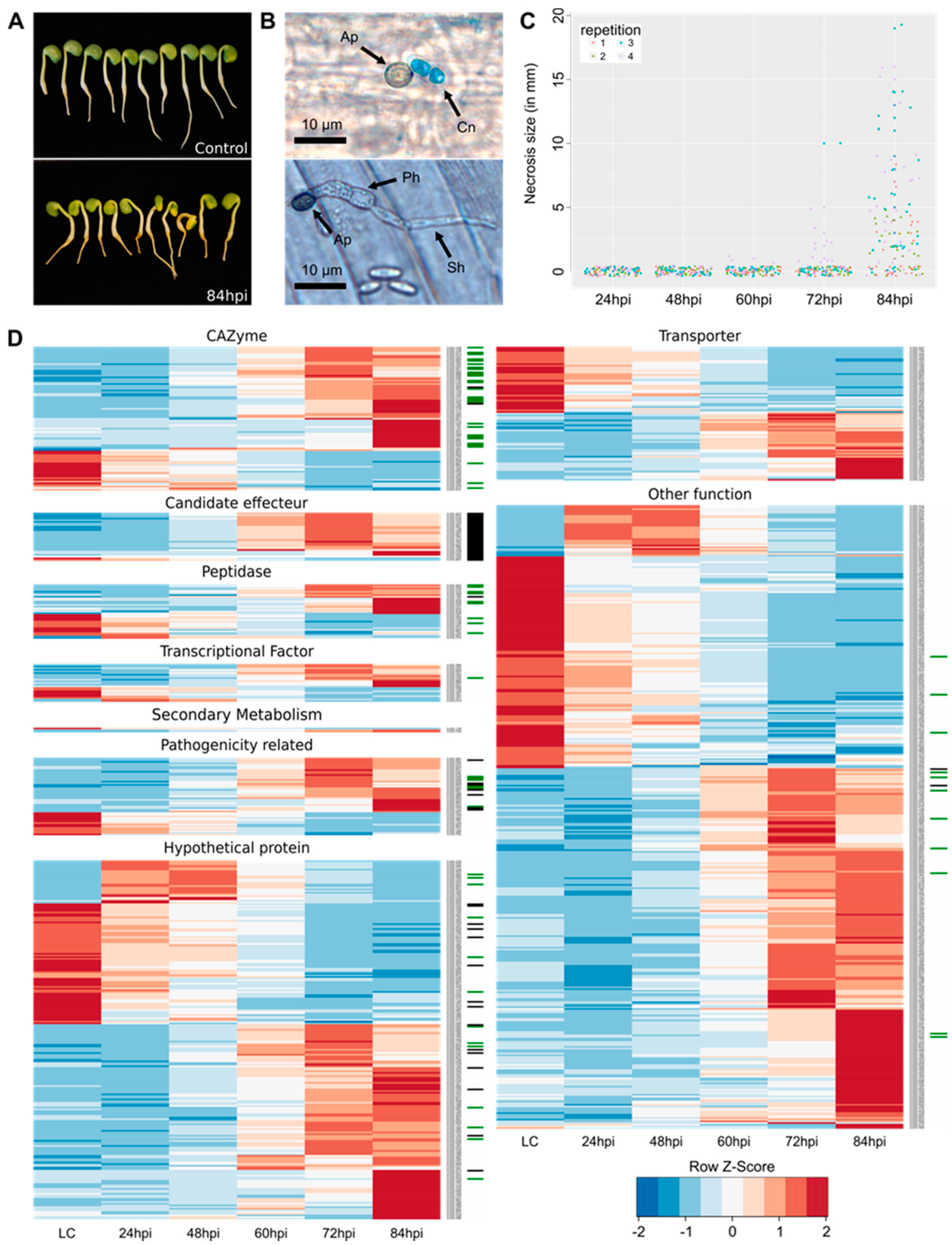 Microorganisms 08 01621 g001 Microorganisms 08 01621 g001