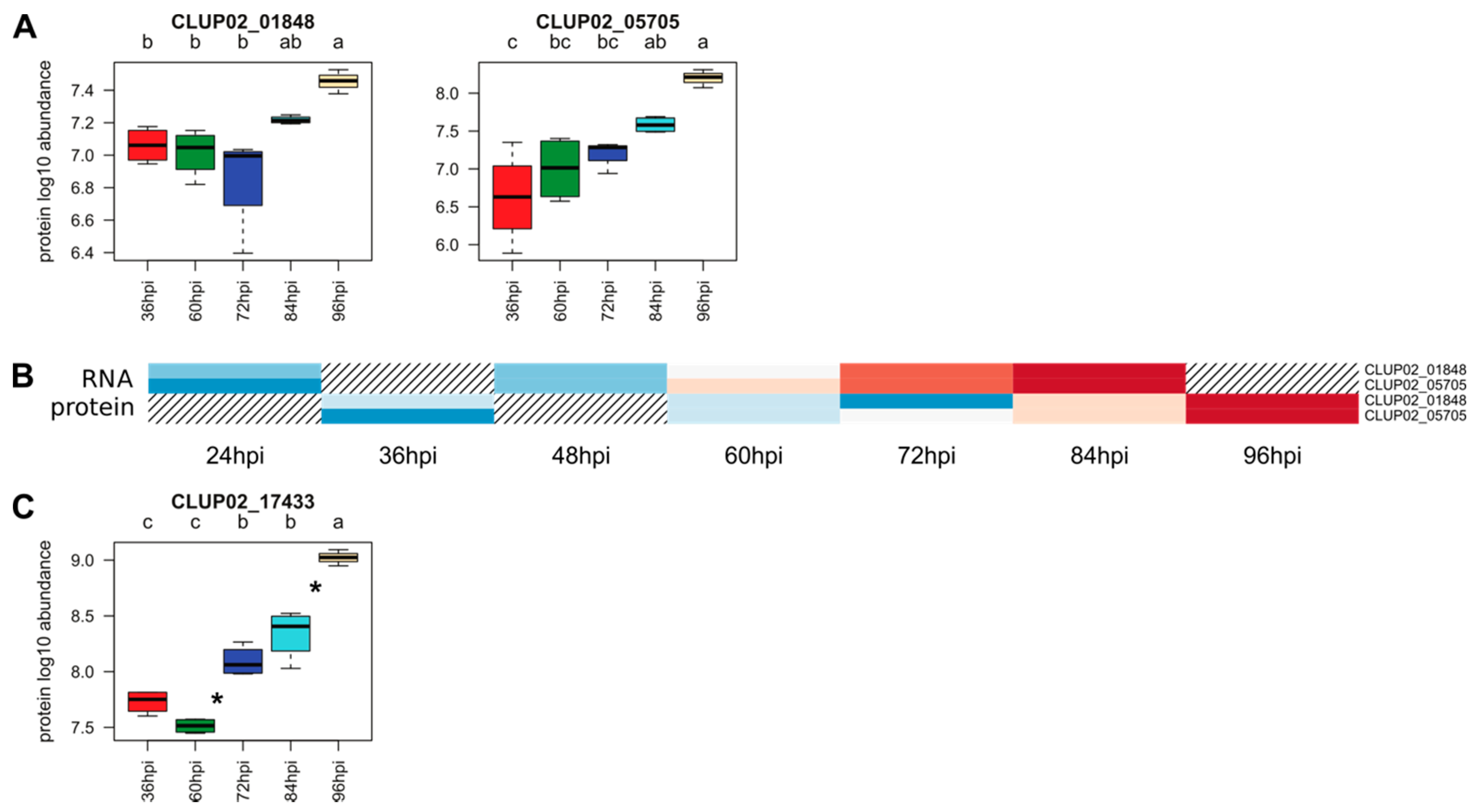 Microorganisms 08 01621 g008 Microorganisms 08 01621 g008