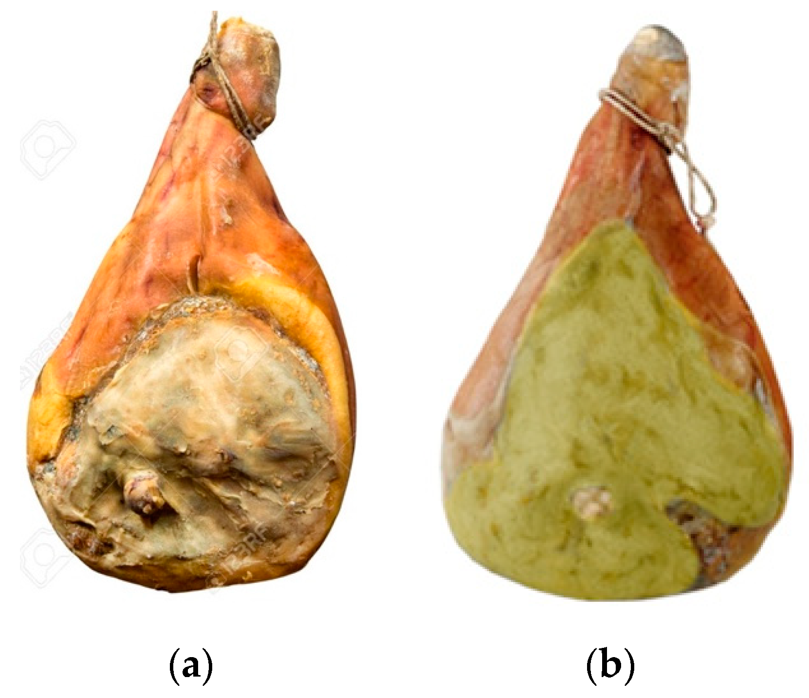 Microorganisms 08 01623 g001