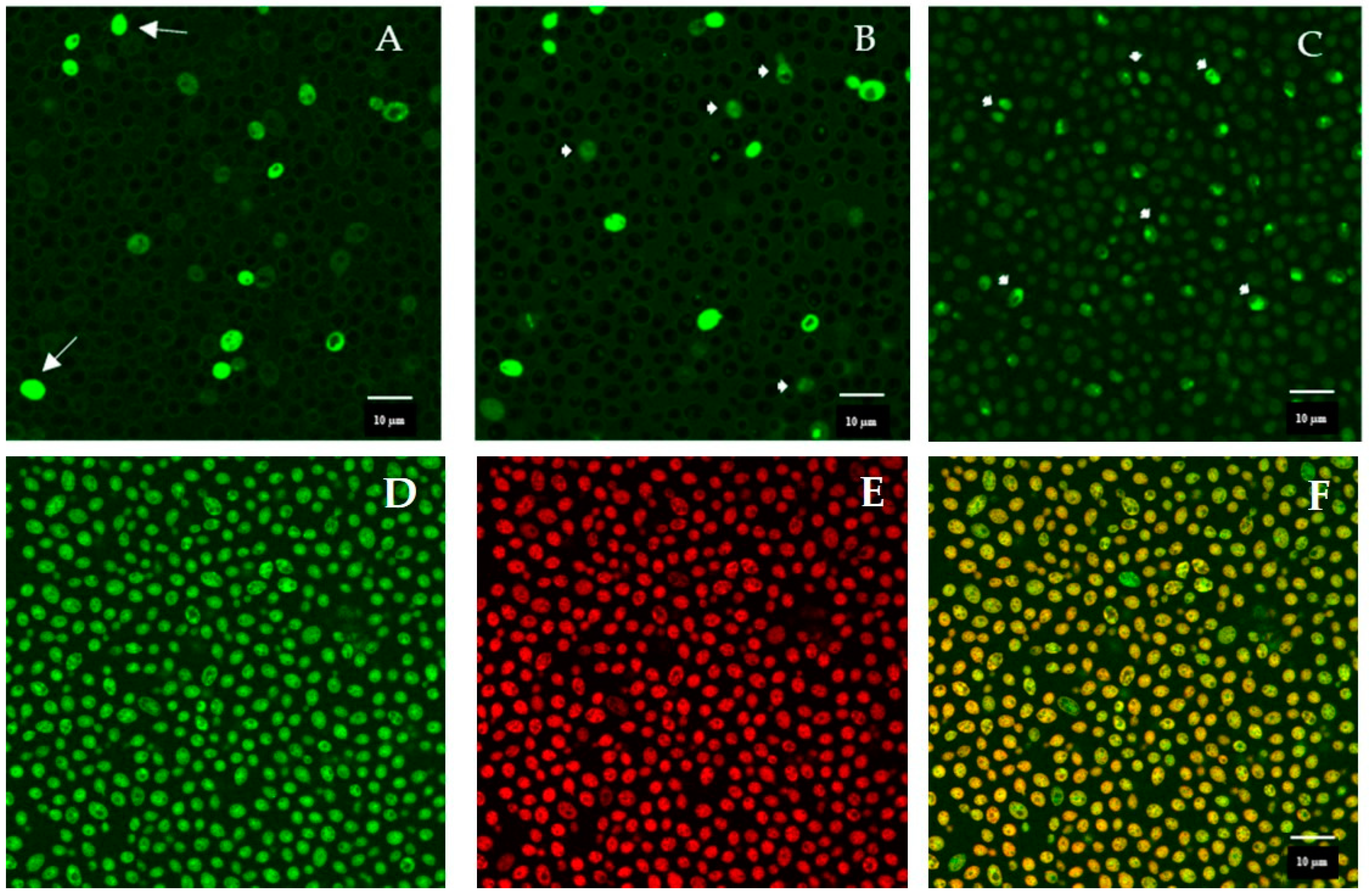 Microorganisms 08 01627 g007 Microorganisms 08 01627 g007