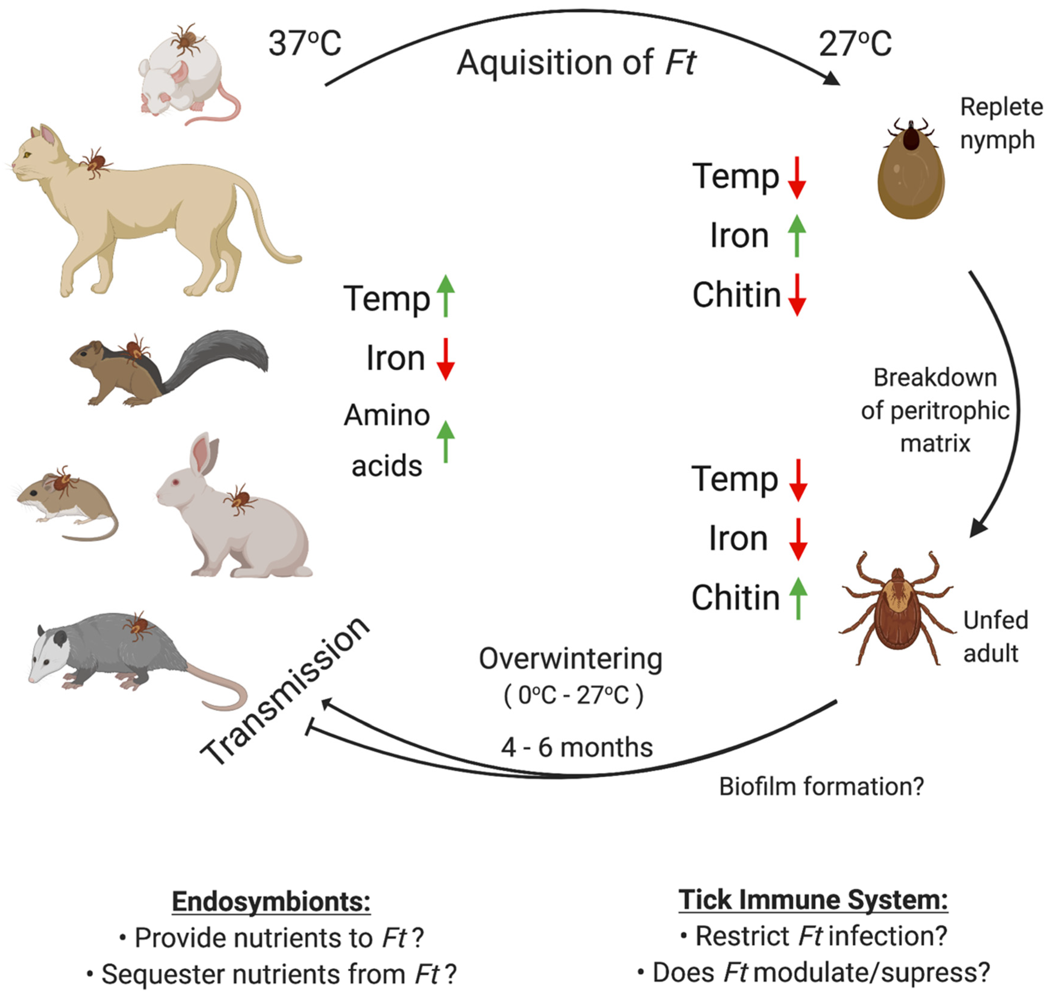 Microorganisms 08 01639 g001