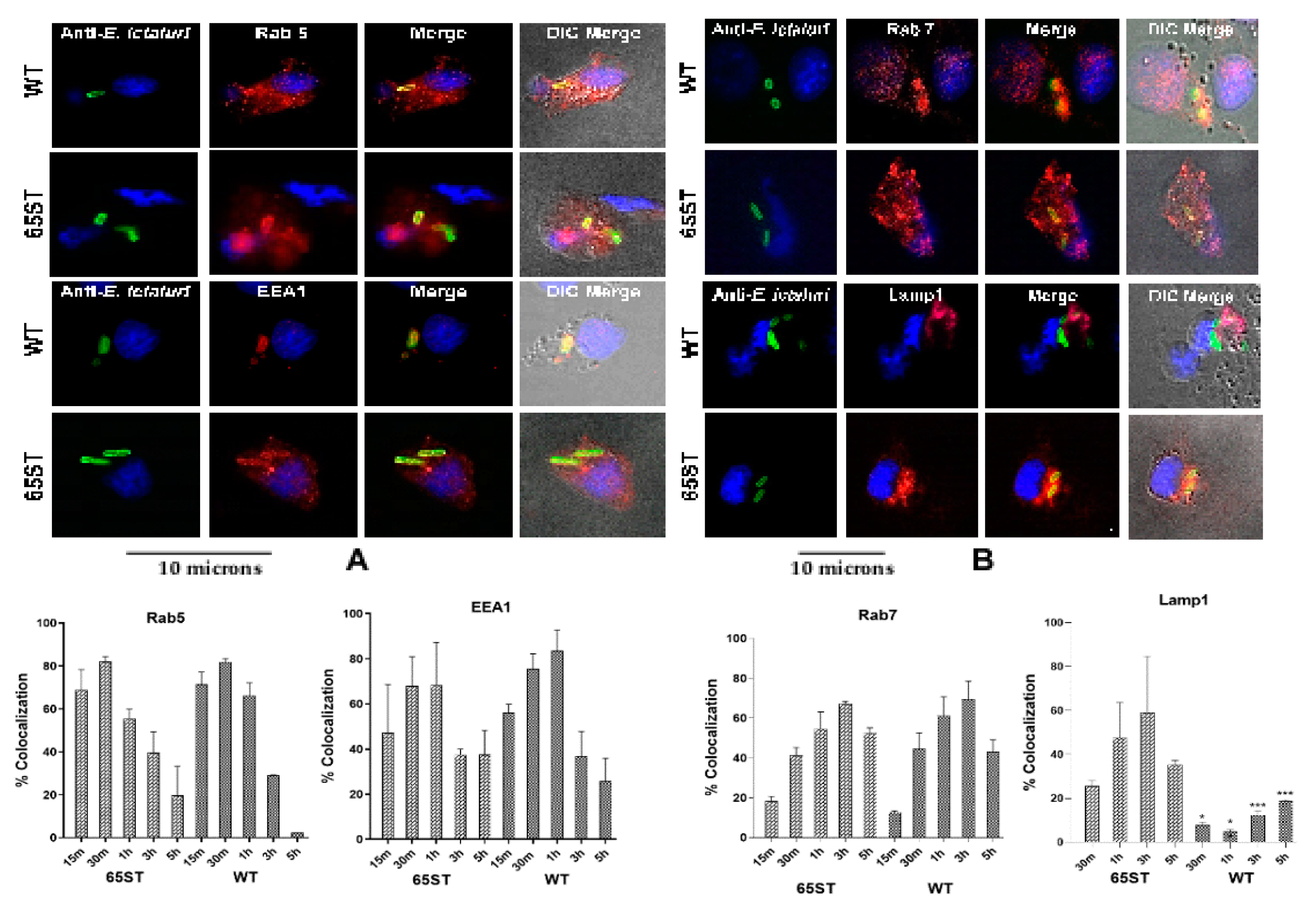 Microorganisms 08 01649 g001