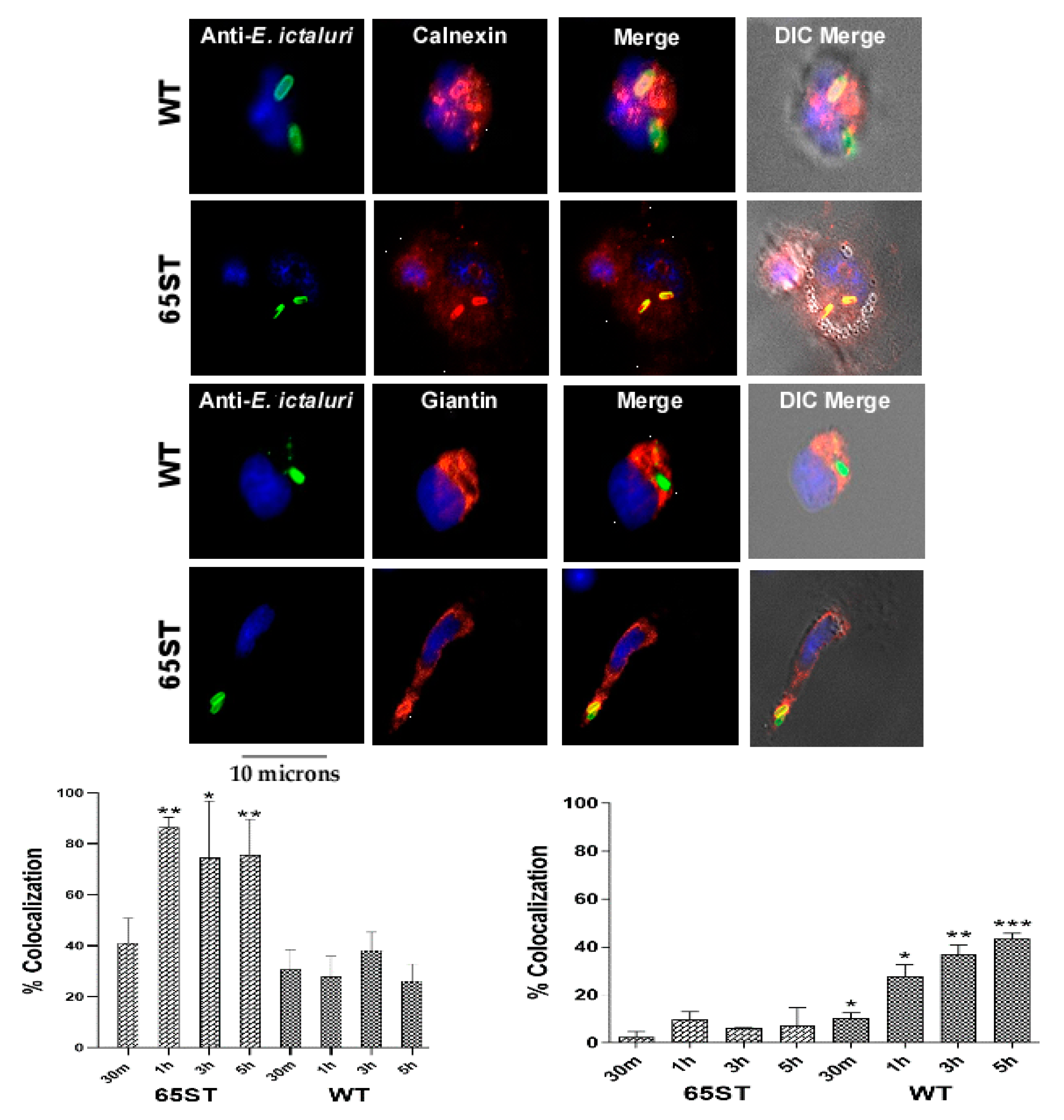 Microorganisms 08 01649 g002