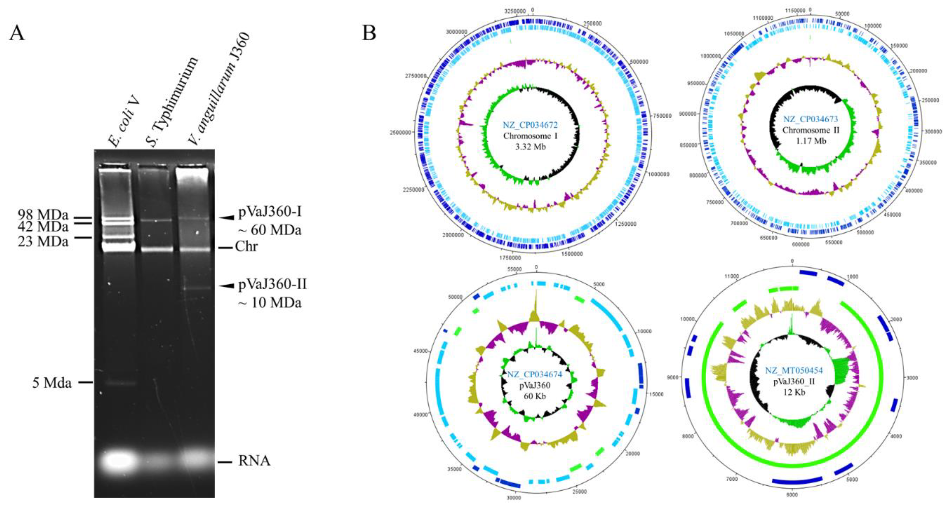 Microorganisms 08 01666 g003