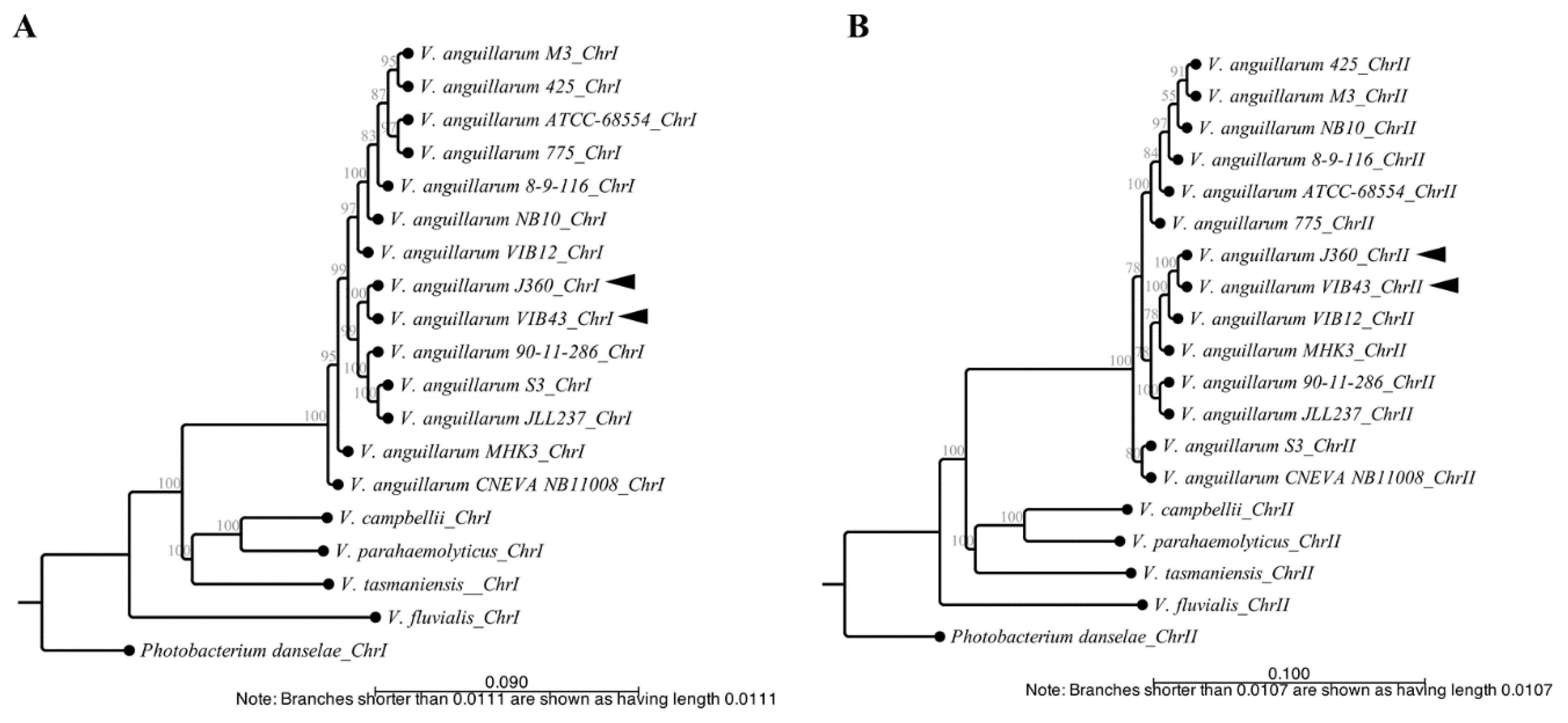 Microorganisms 08 01666 g004a