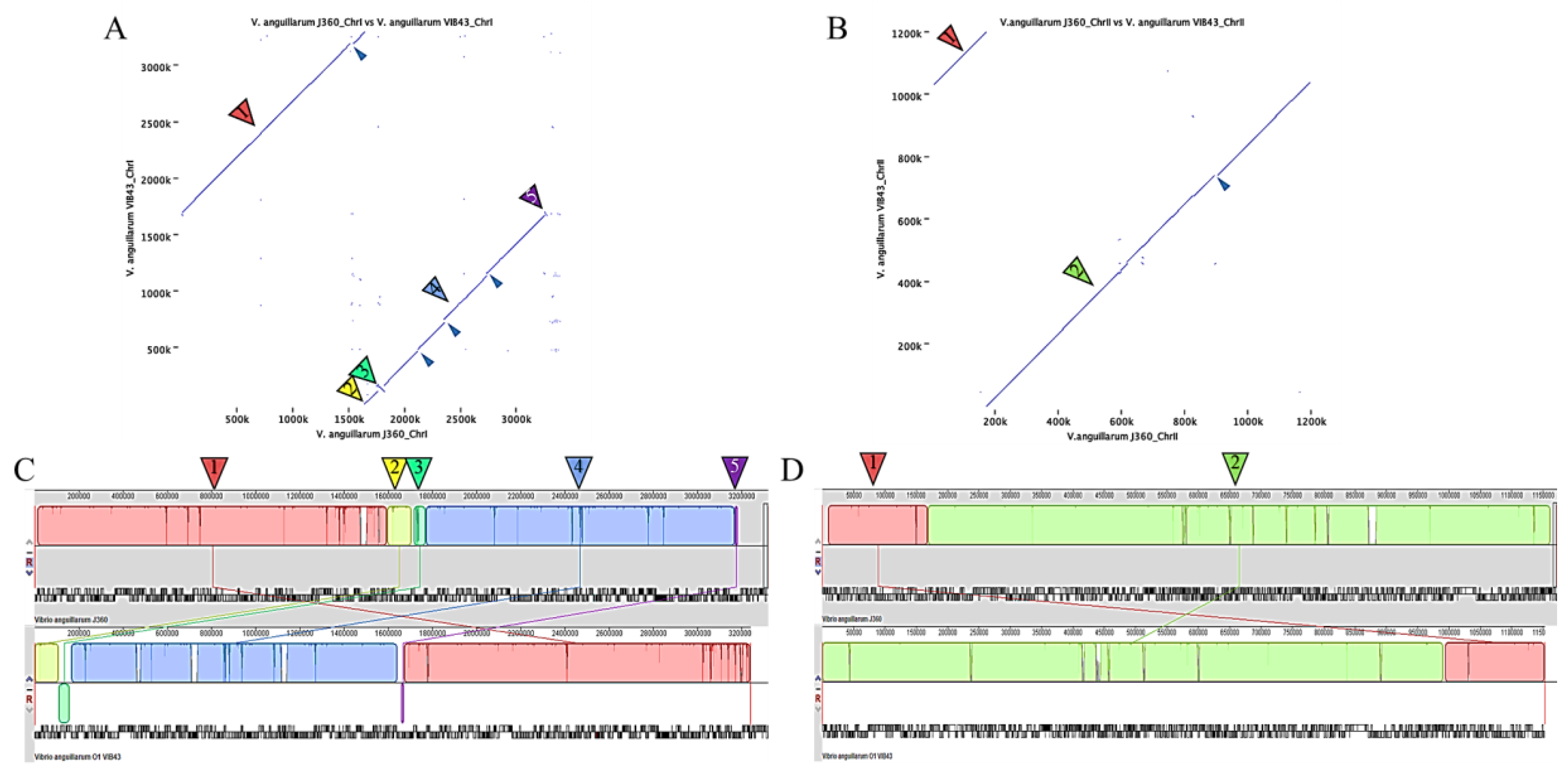 Microorganisms 08 01666 g005