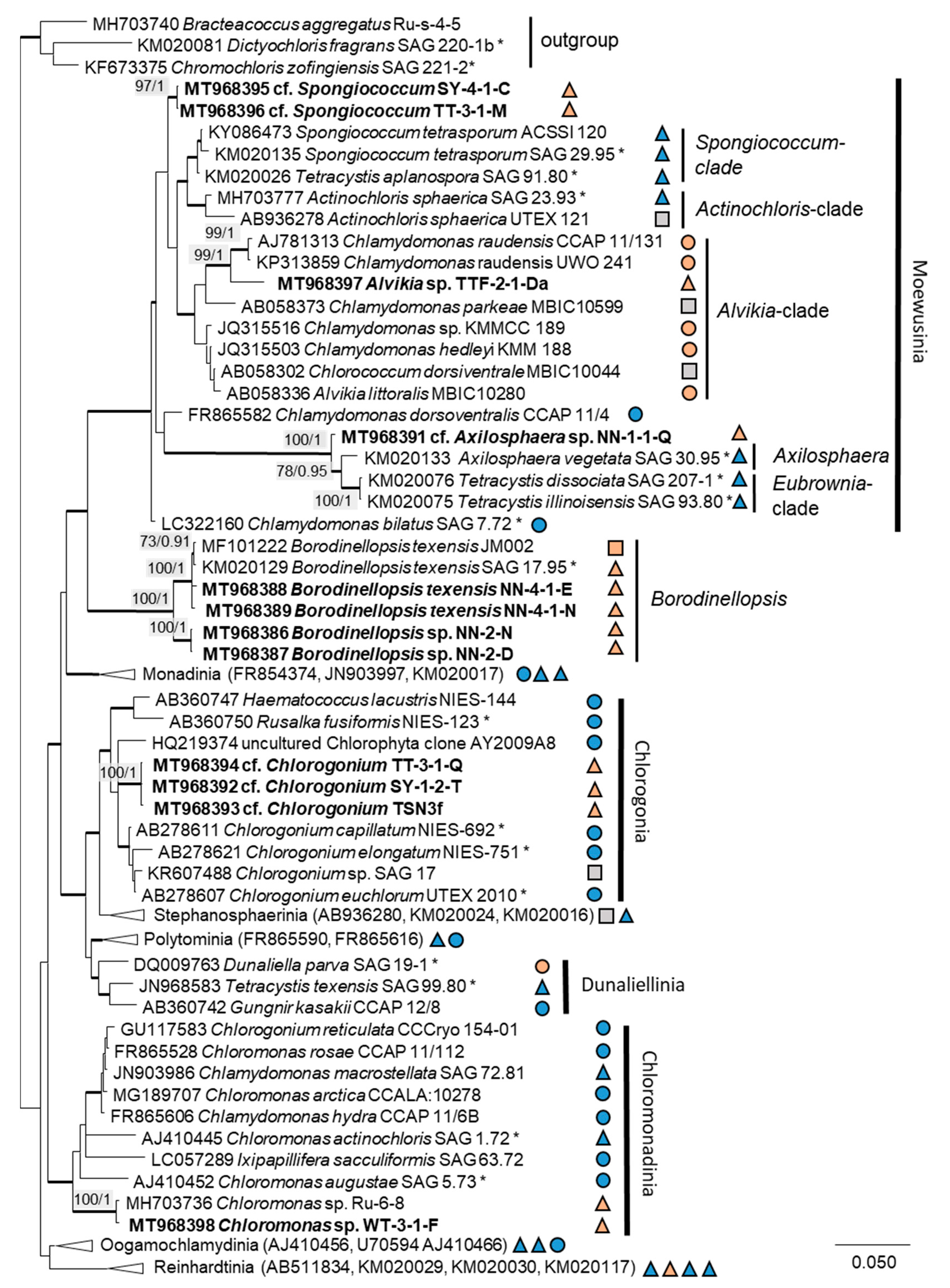 Microorganisms 08 01667 g002 Microorganisms 08 01667 g002