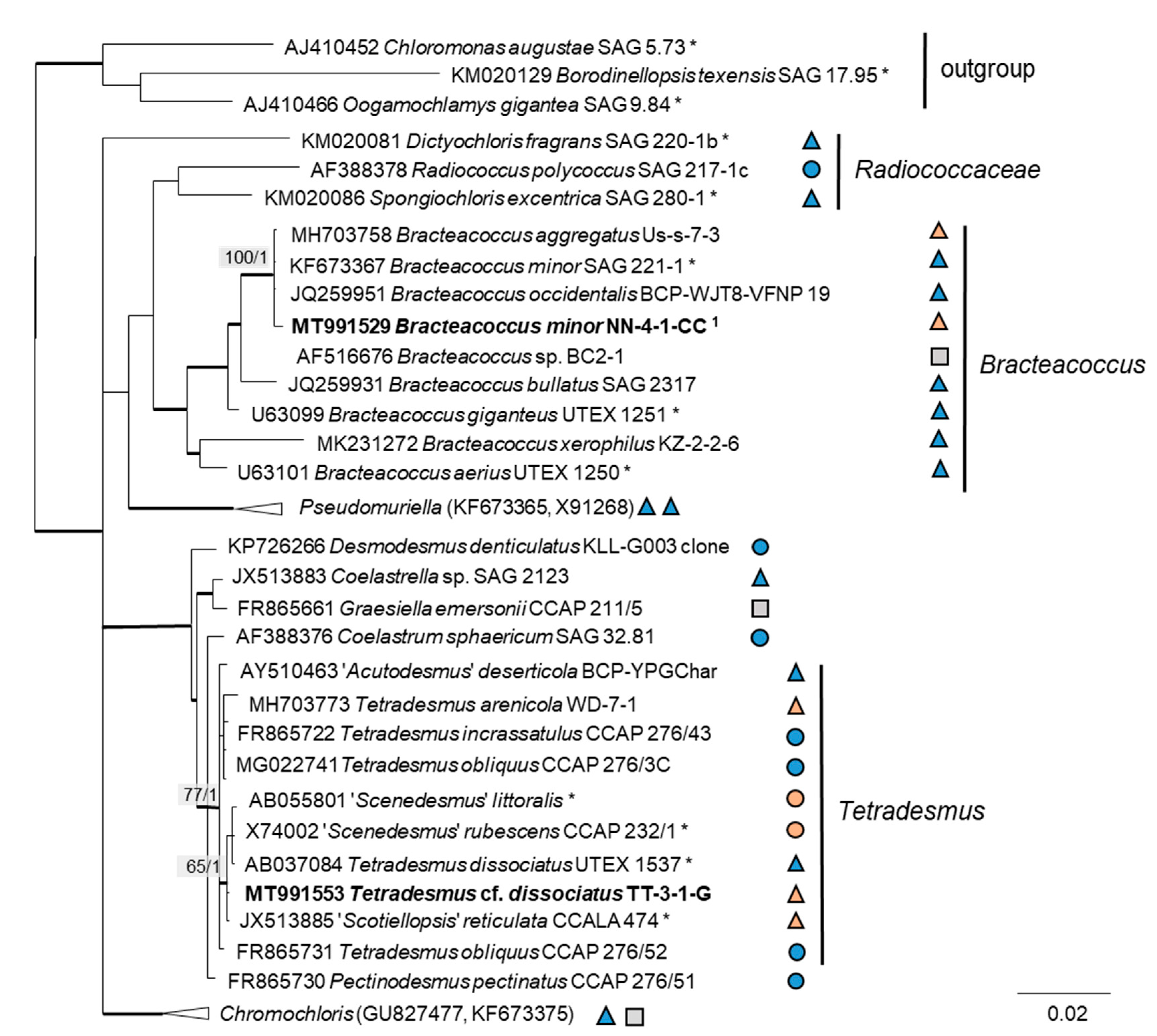 Microorganisms 08 01667 g003 Microorganisms 08 01667 g003