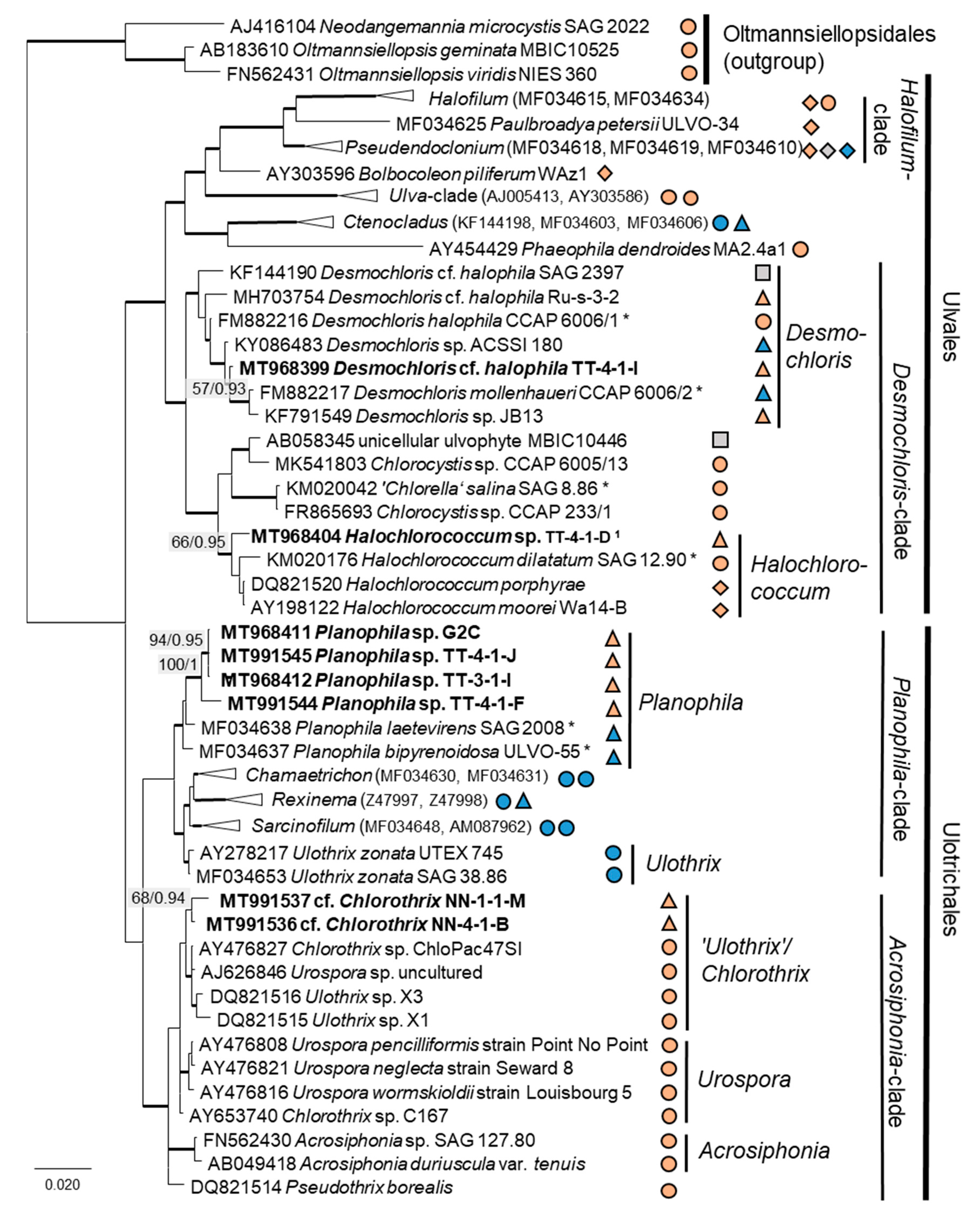 Microorganisms 08 01667 g004 Microorganisms 08 01667 g004