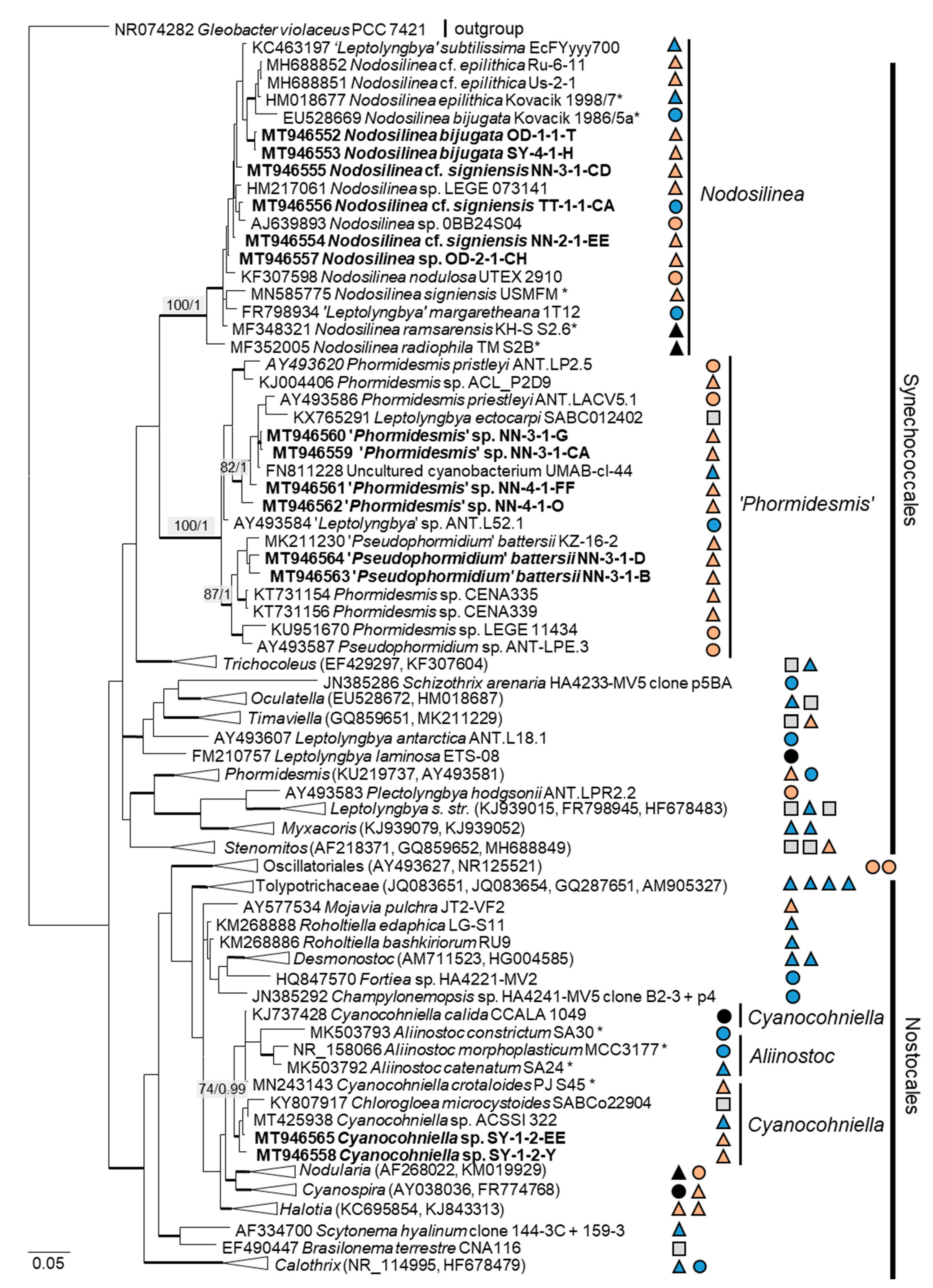 Microorganisms 08 01667 g006 Microorganisms 08 01667 g006