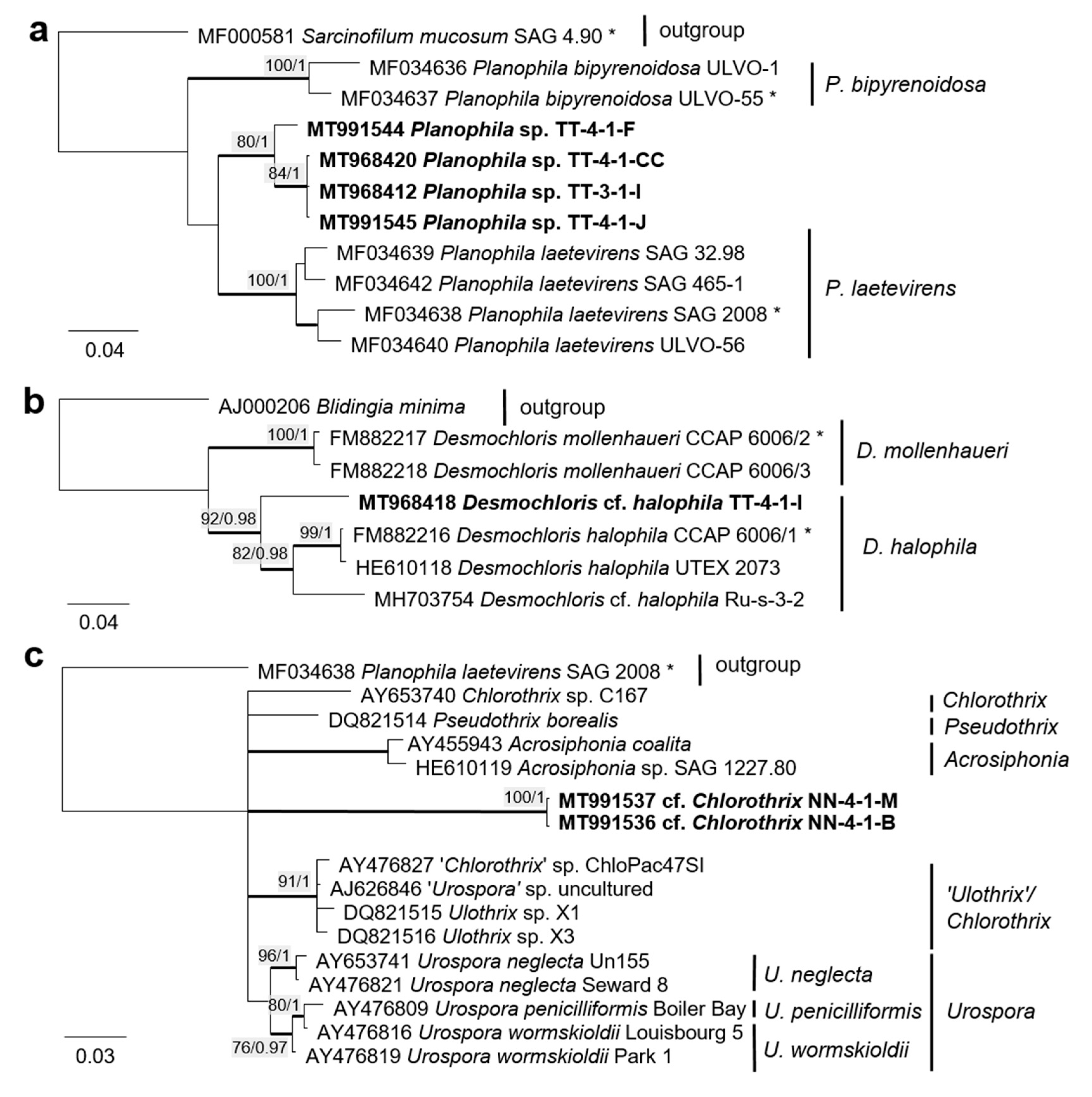 Microorganisms 08 01667 g010 Microorganisms 08 01667 g010