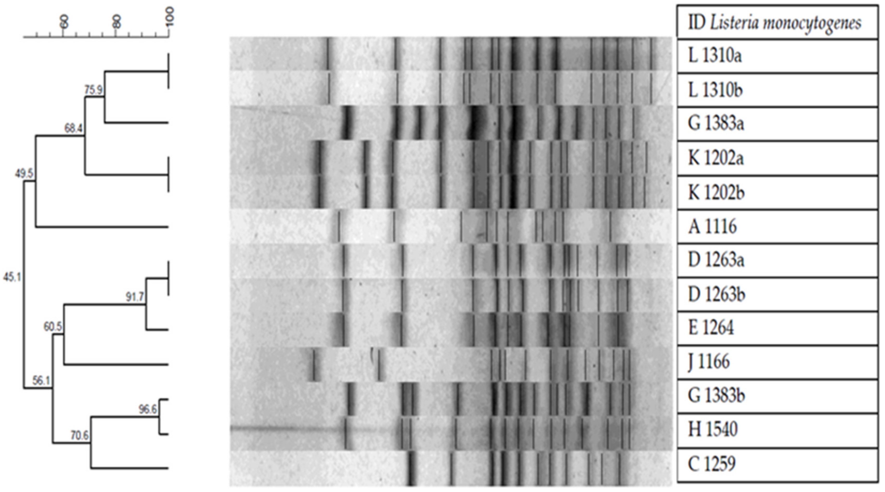 Microorganisms 08 01669 g003
