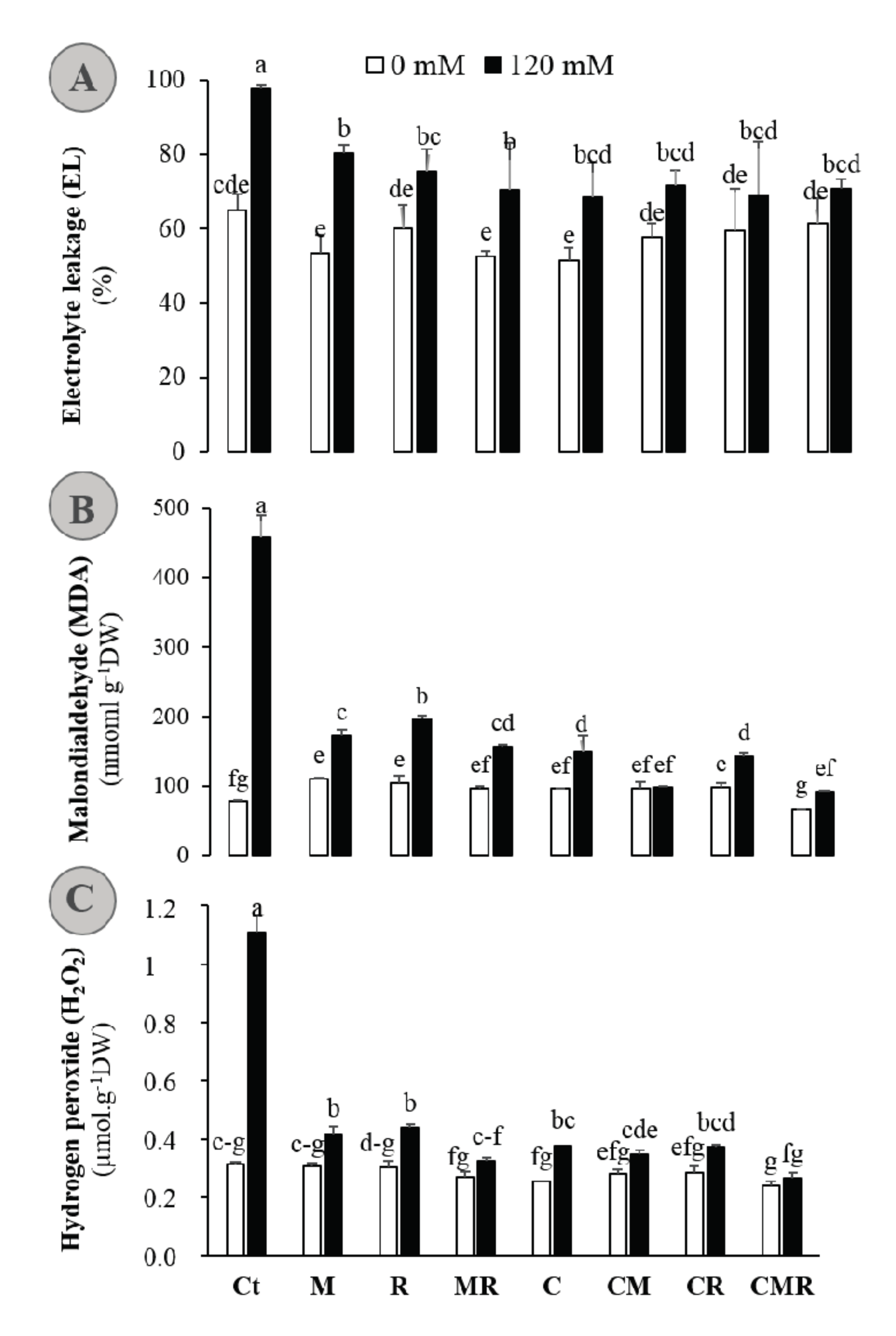 Microorganisms 08 01695 g004