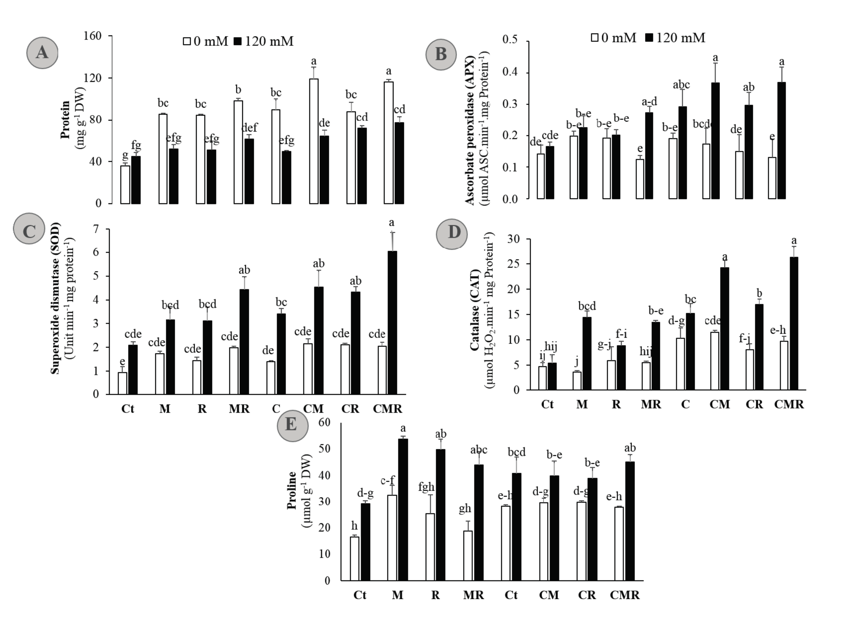 Microorganisms 08 01695 g005