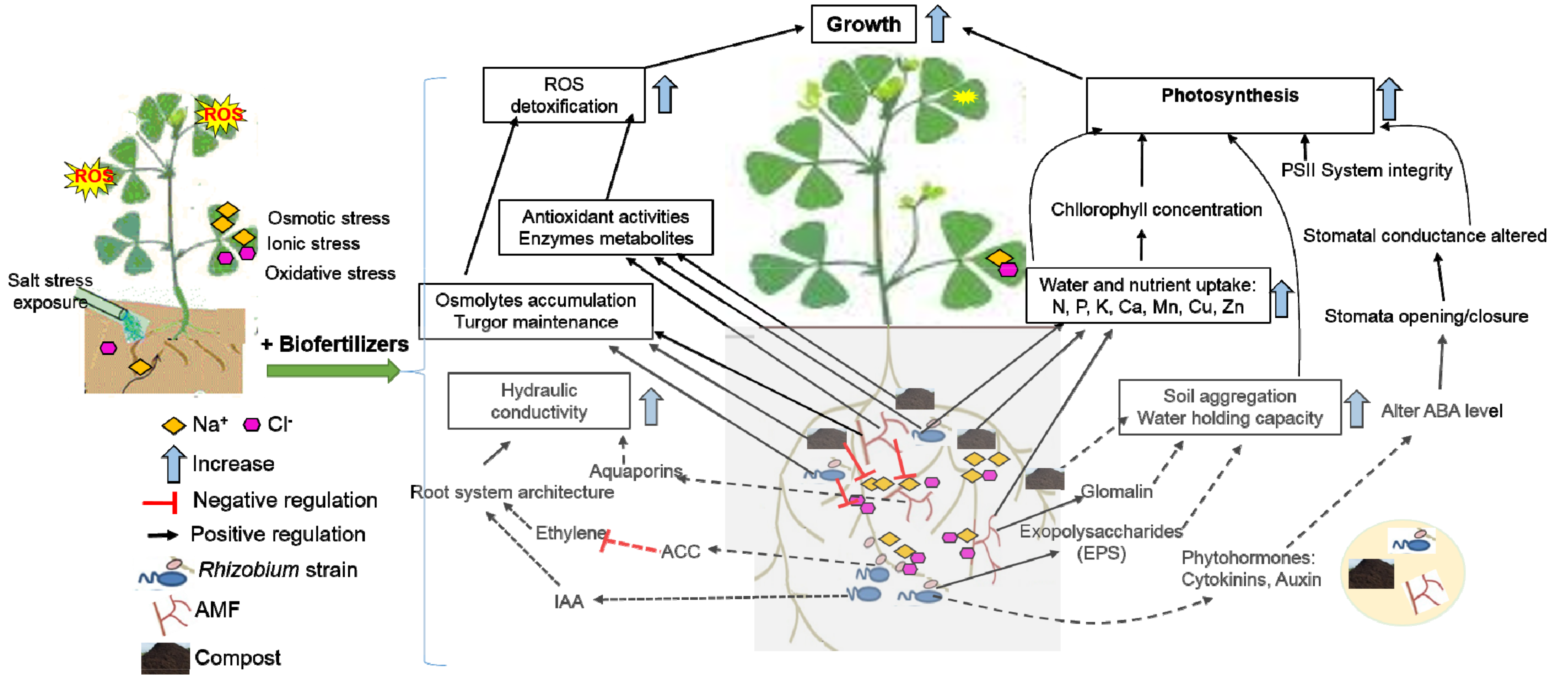 Microorganisms 08 01695 g008
