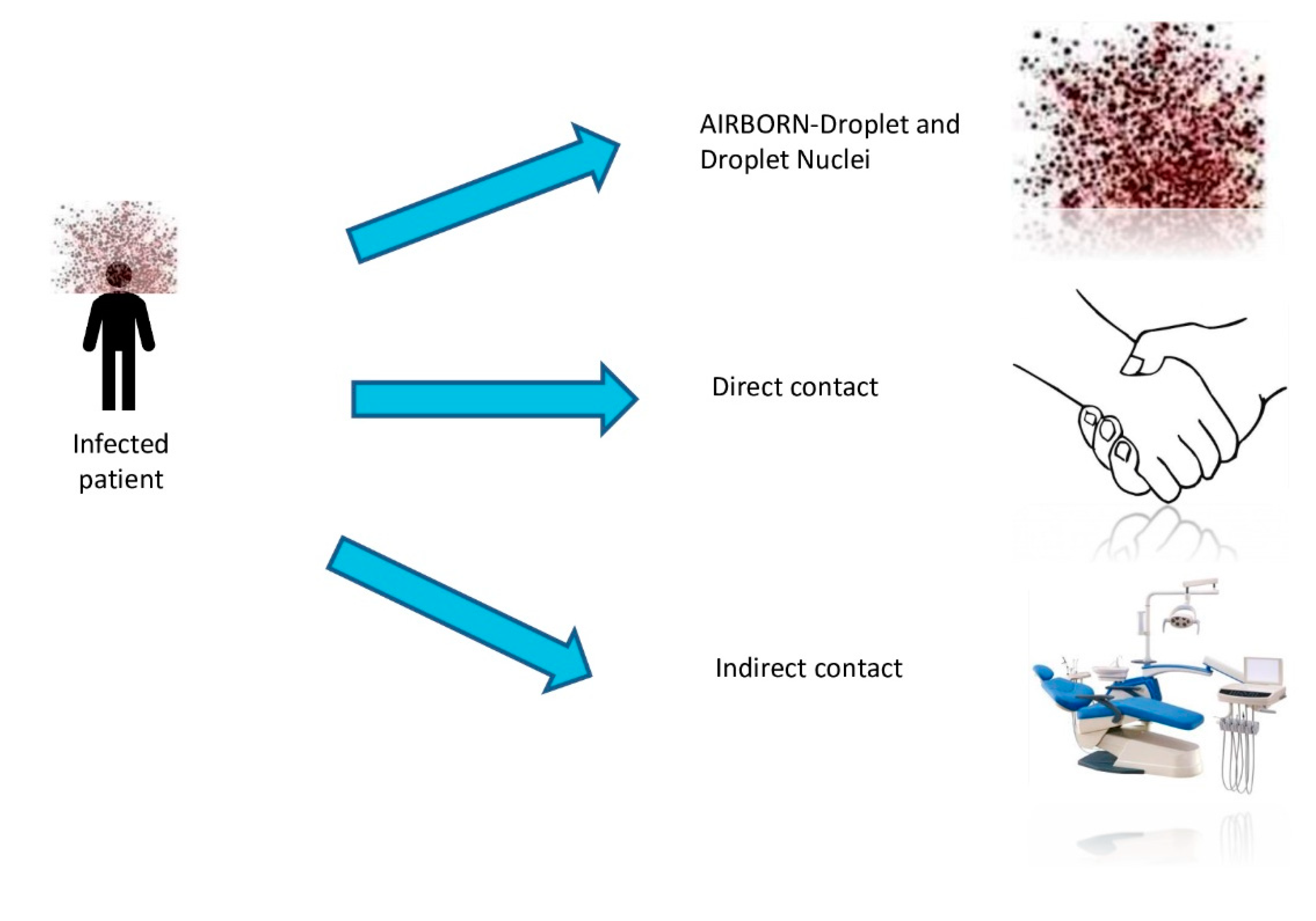Microorganisms 08 01704 g004