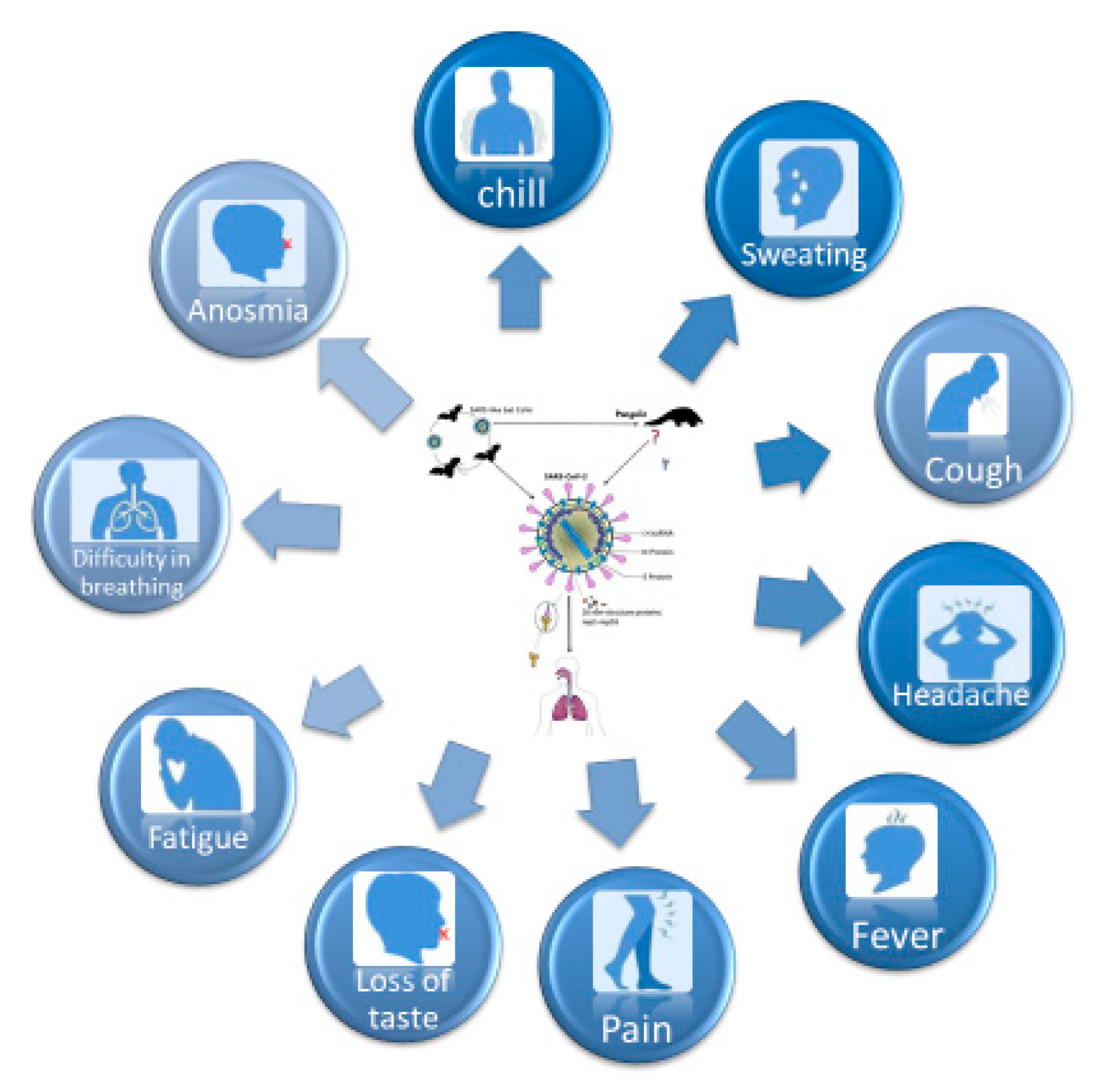 Microorganisms 08 01704 g005