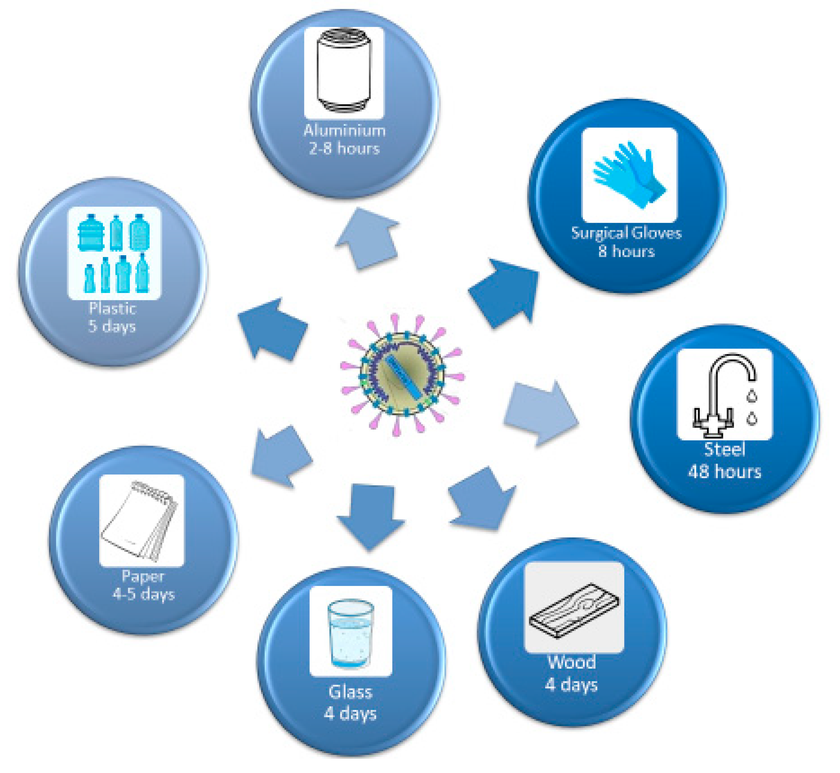 Microorganisms 08 01704 g012