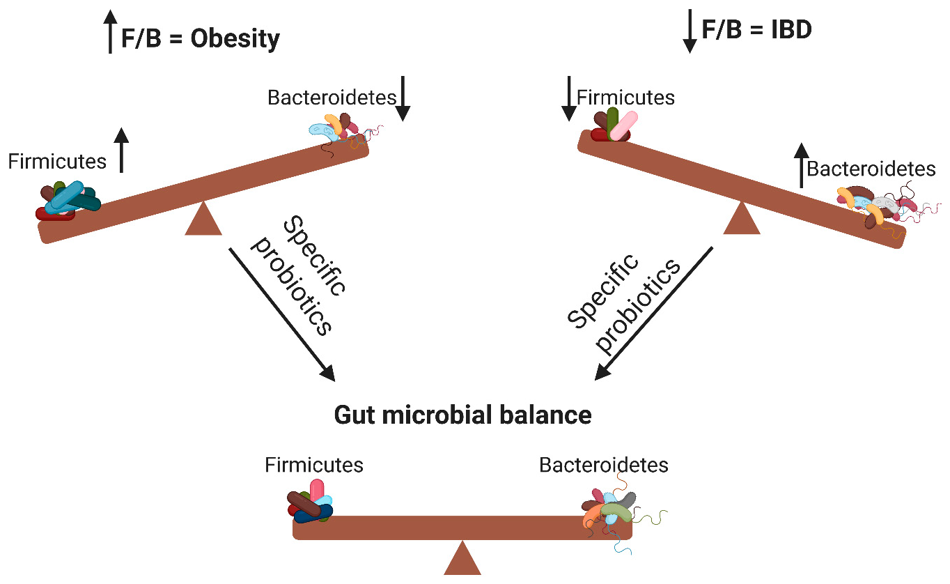 Microorganisms 08 01715 g001