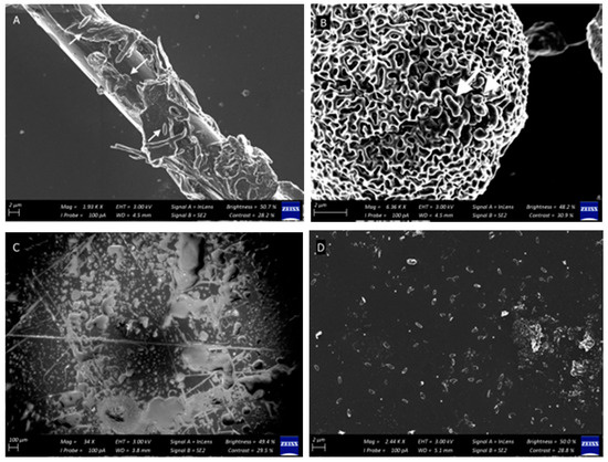 Microorganisms 08 01726 g0a1