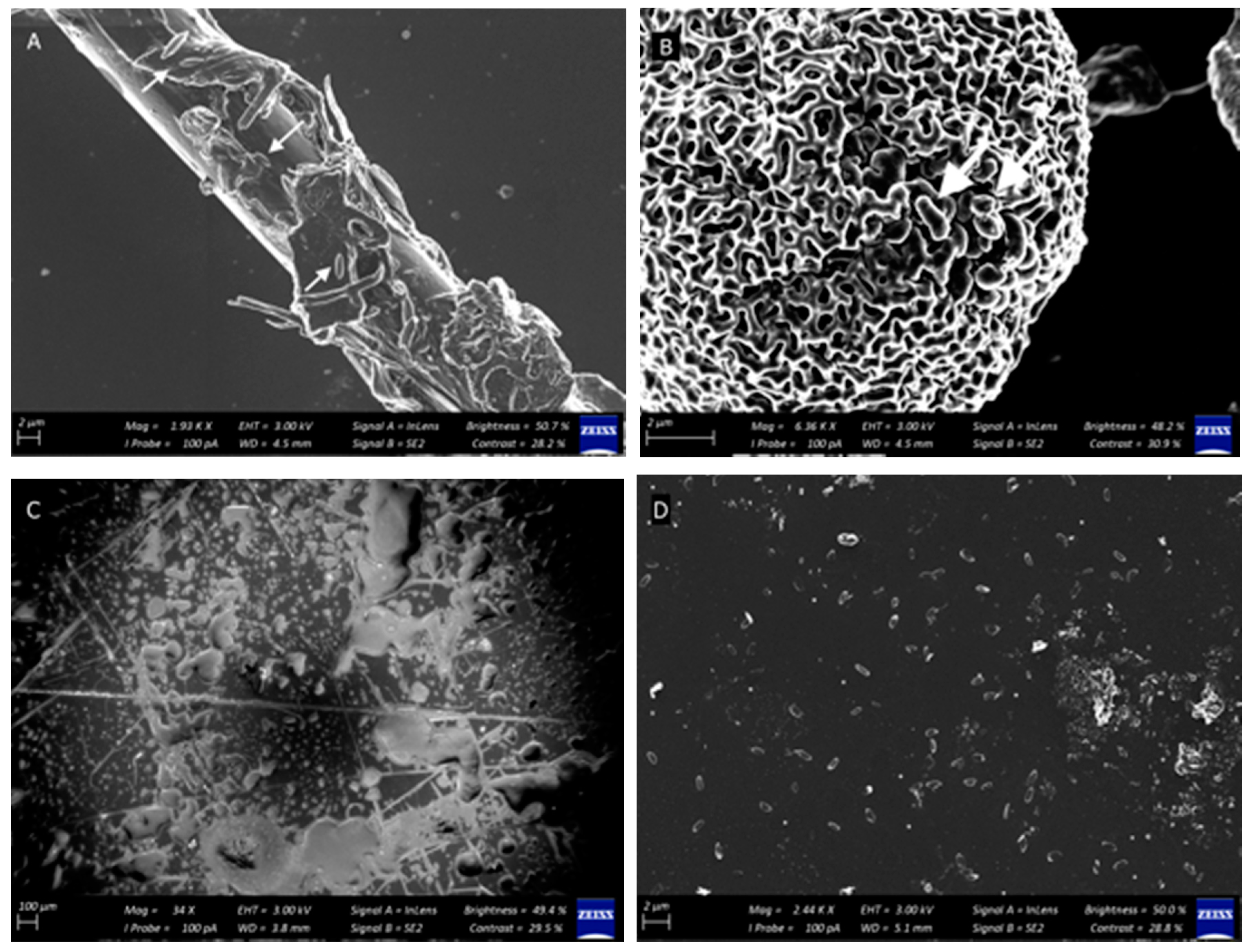 Microorganisms 08 01726 g0a1