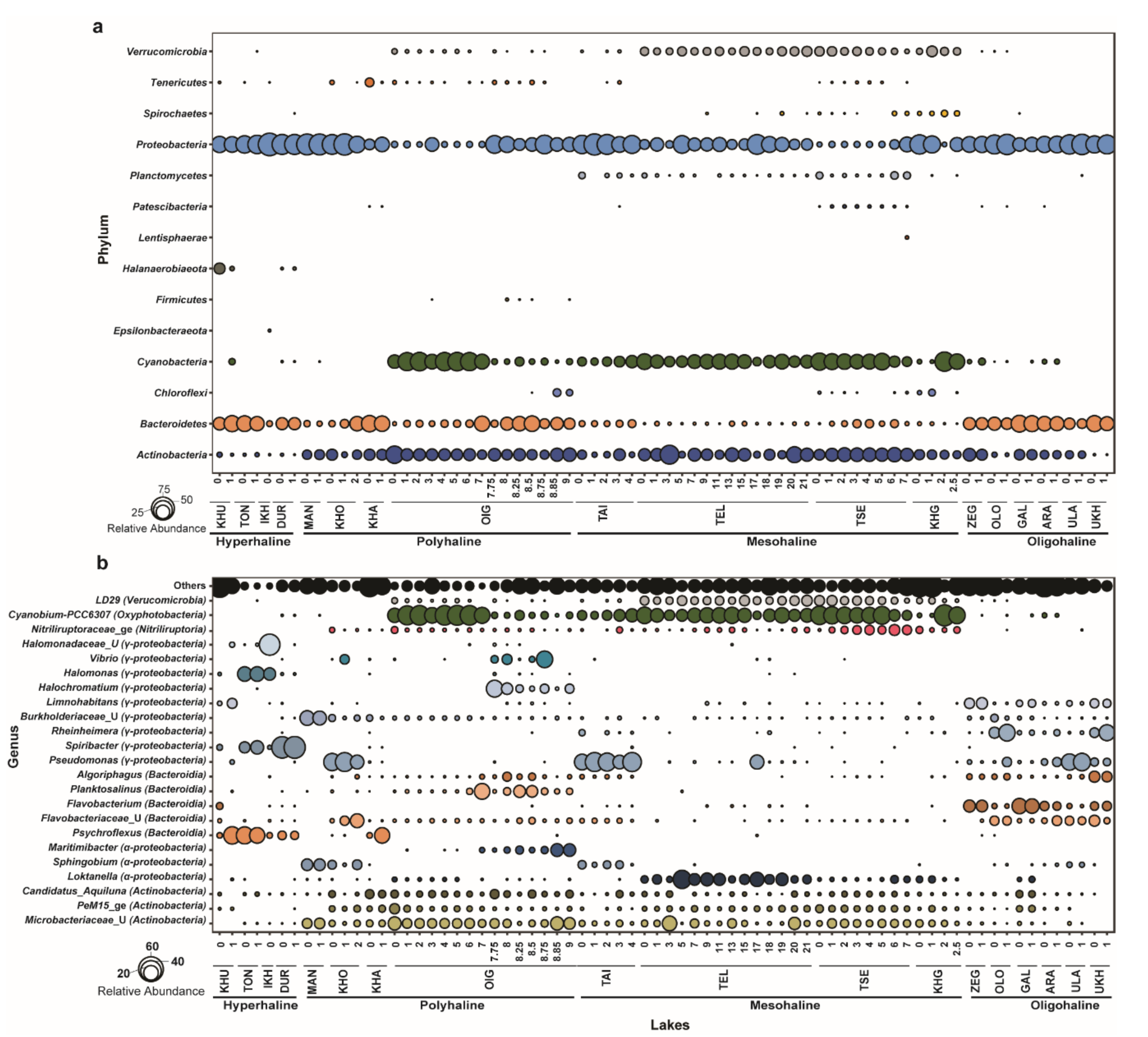 Microorganisms 08 01729 g003