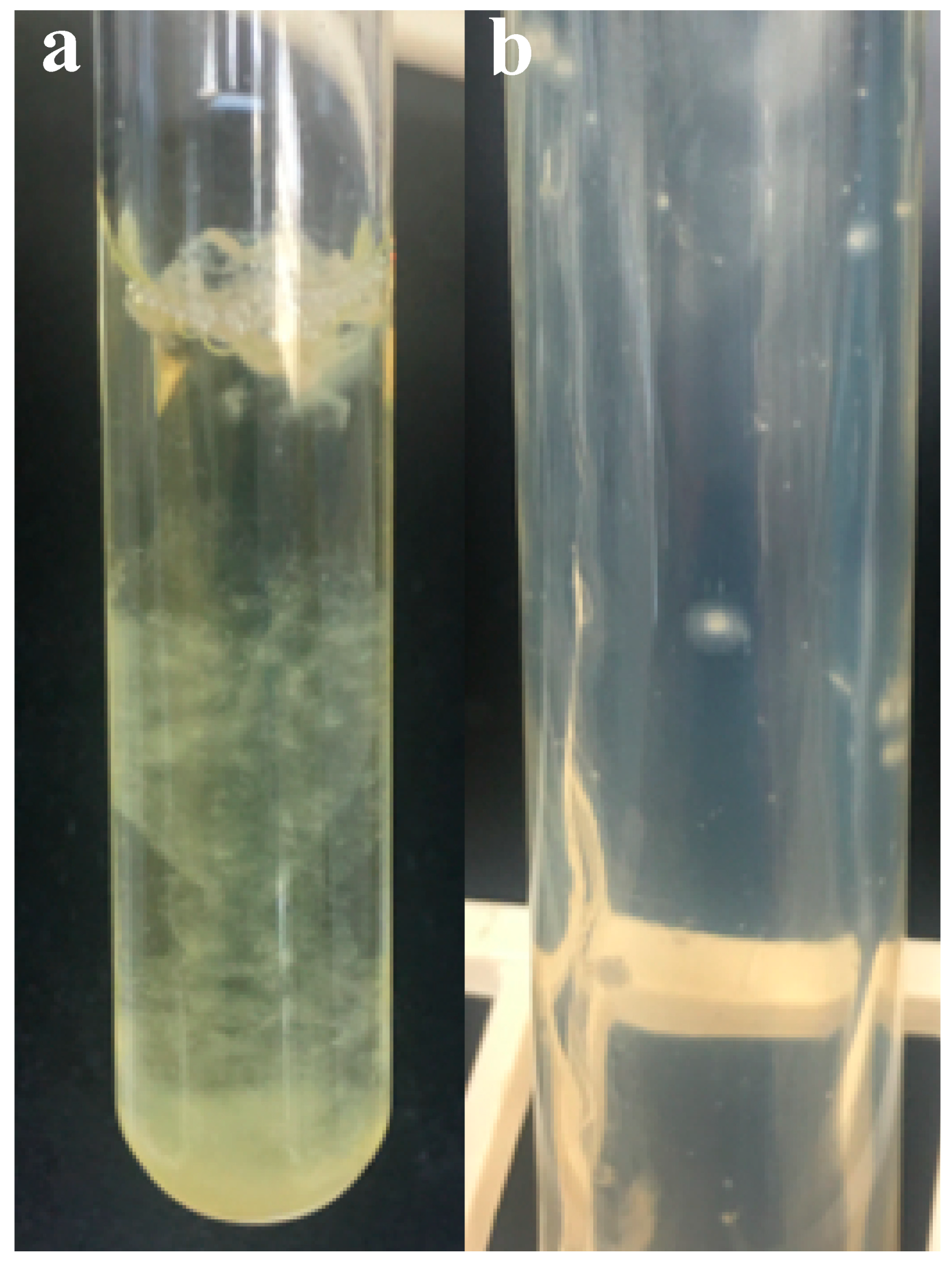 Microorganisms 08 01734 g001