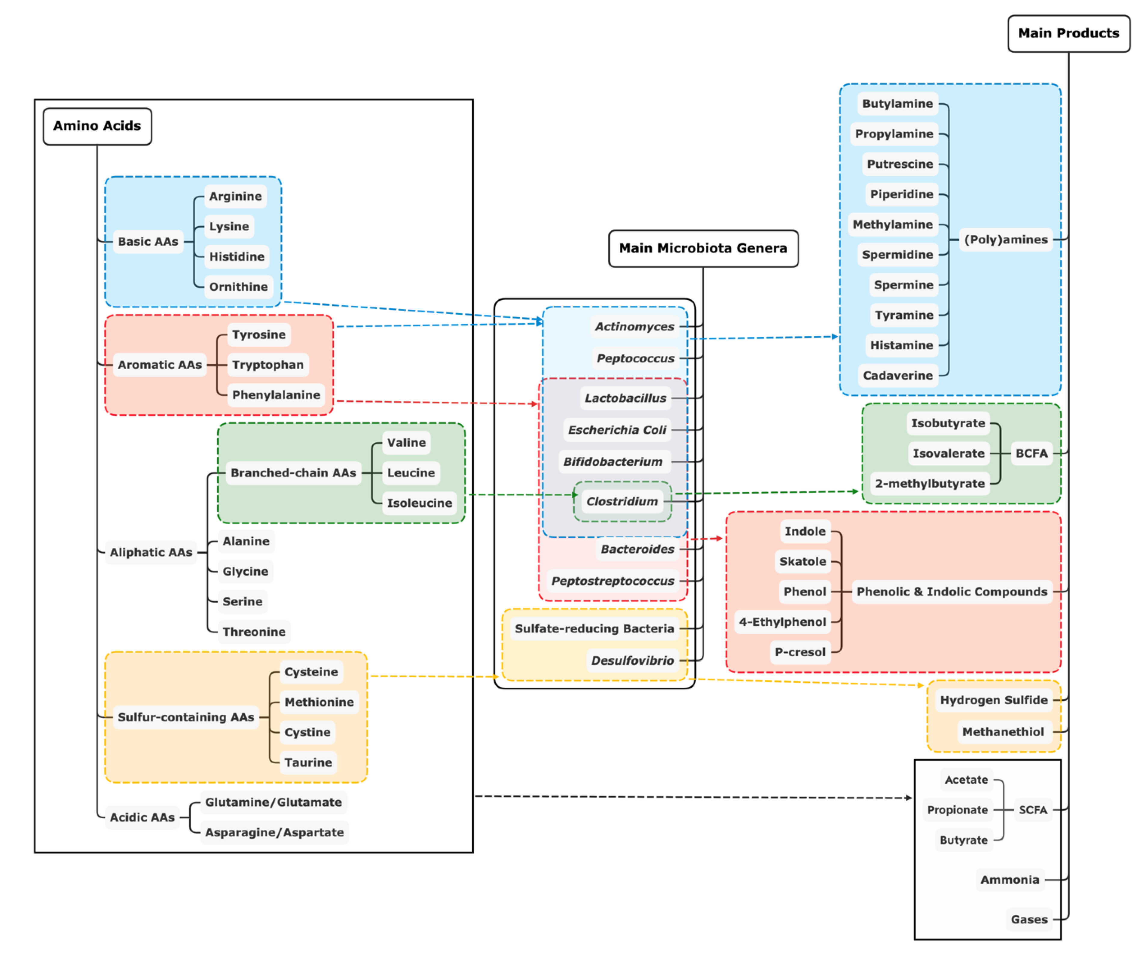 Microorganisms 08 01735 g001