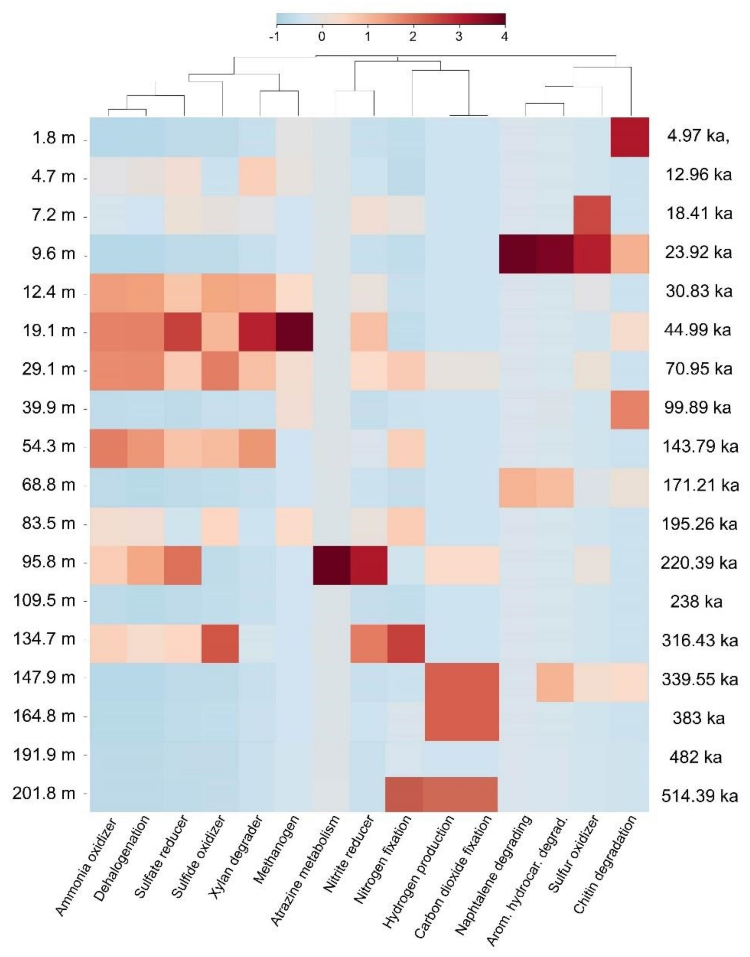 Microorganisms 08 01736 g008