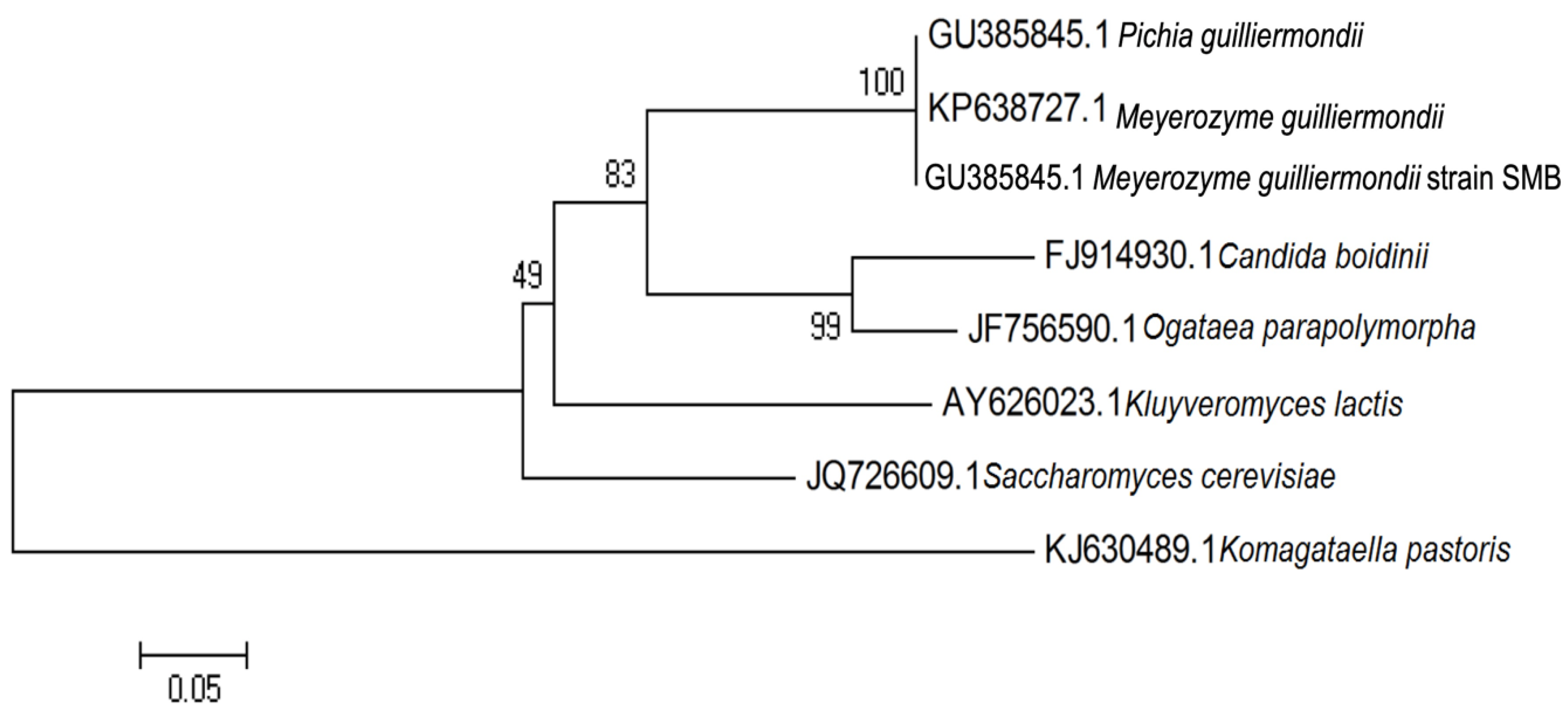 Microorganisms 08 01738 g001