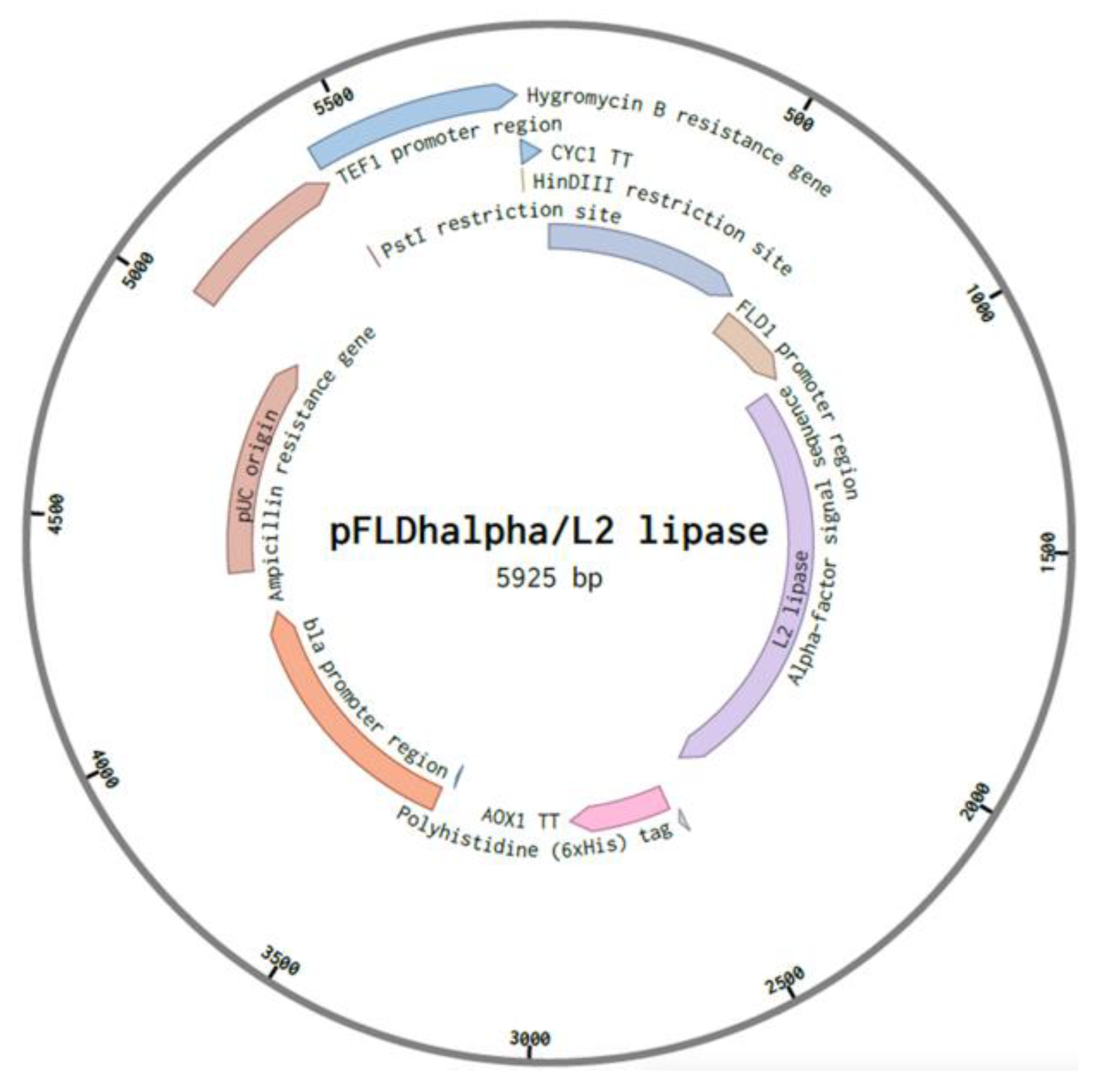 Microorganisms 08 01738 g003
