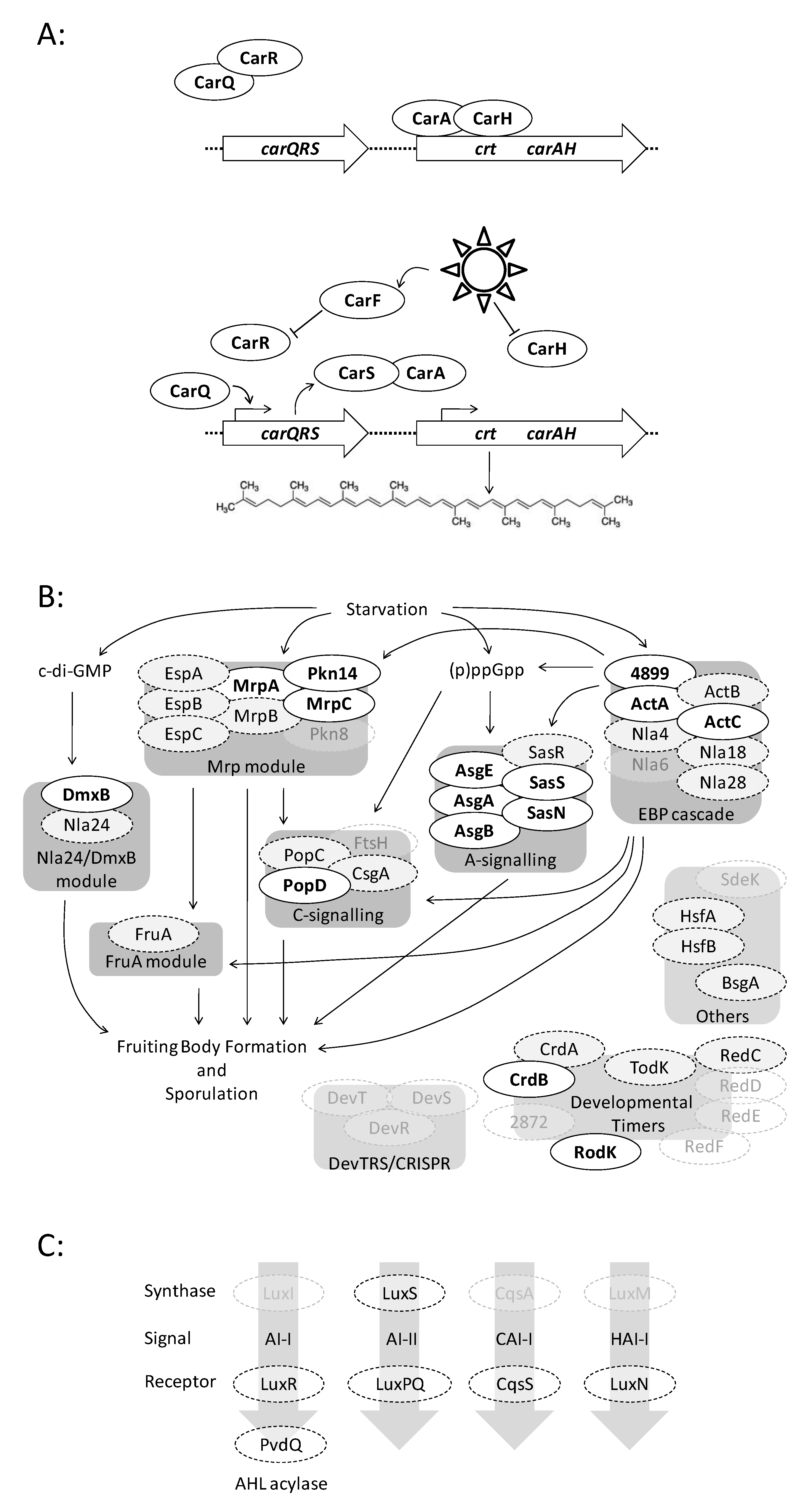 Microorganisms 08 01739 g003 Microorganisms 08 01739 g003