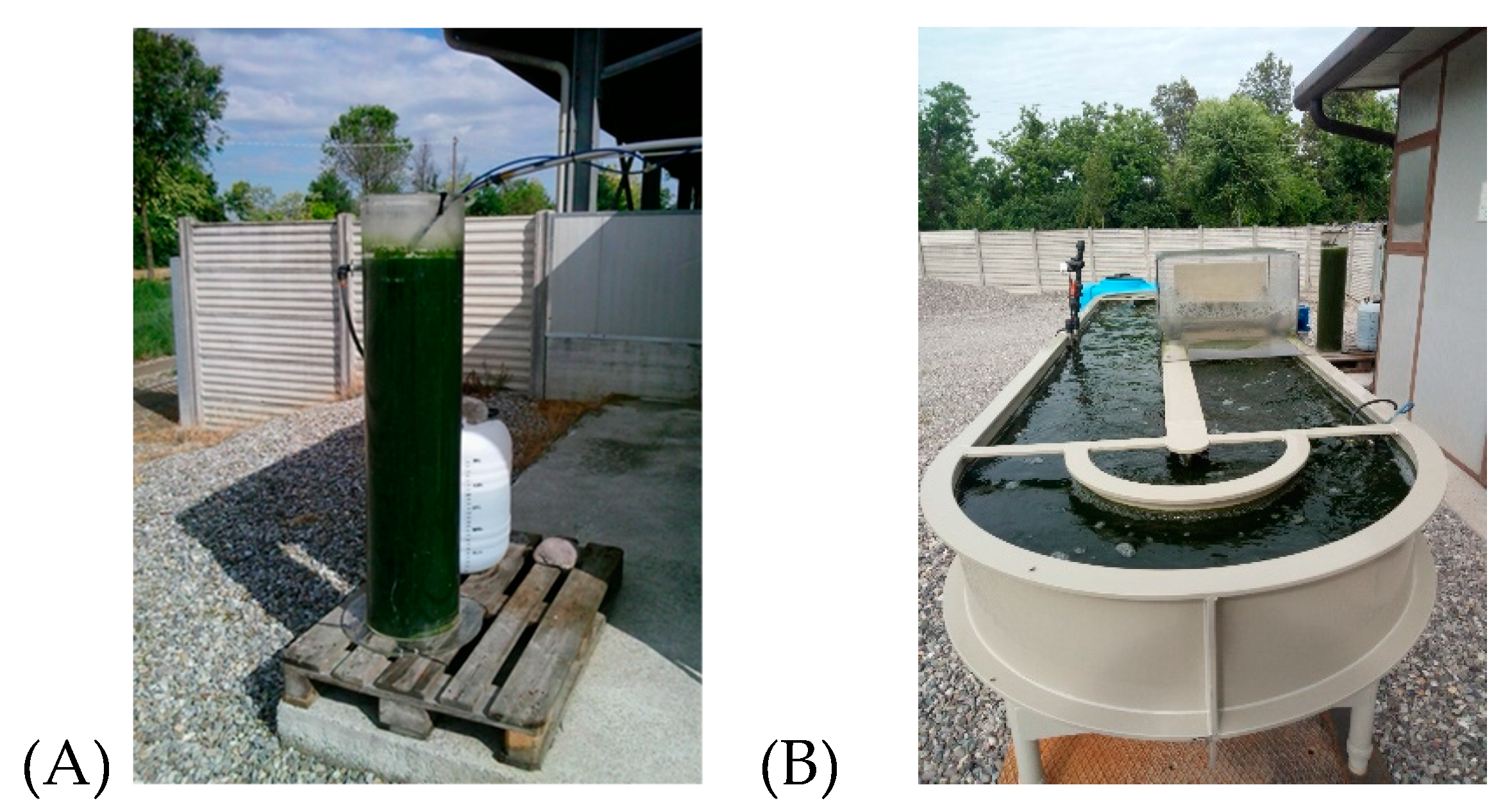 Microorganisms 08 01754 g001 Microorganisms 08 01754 g001
