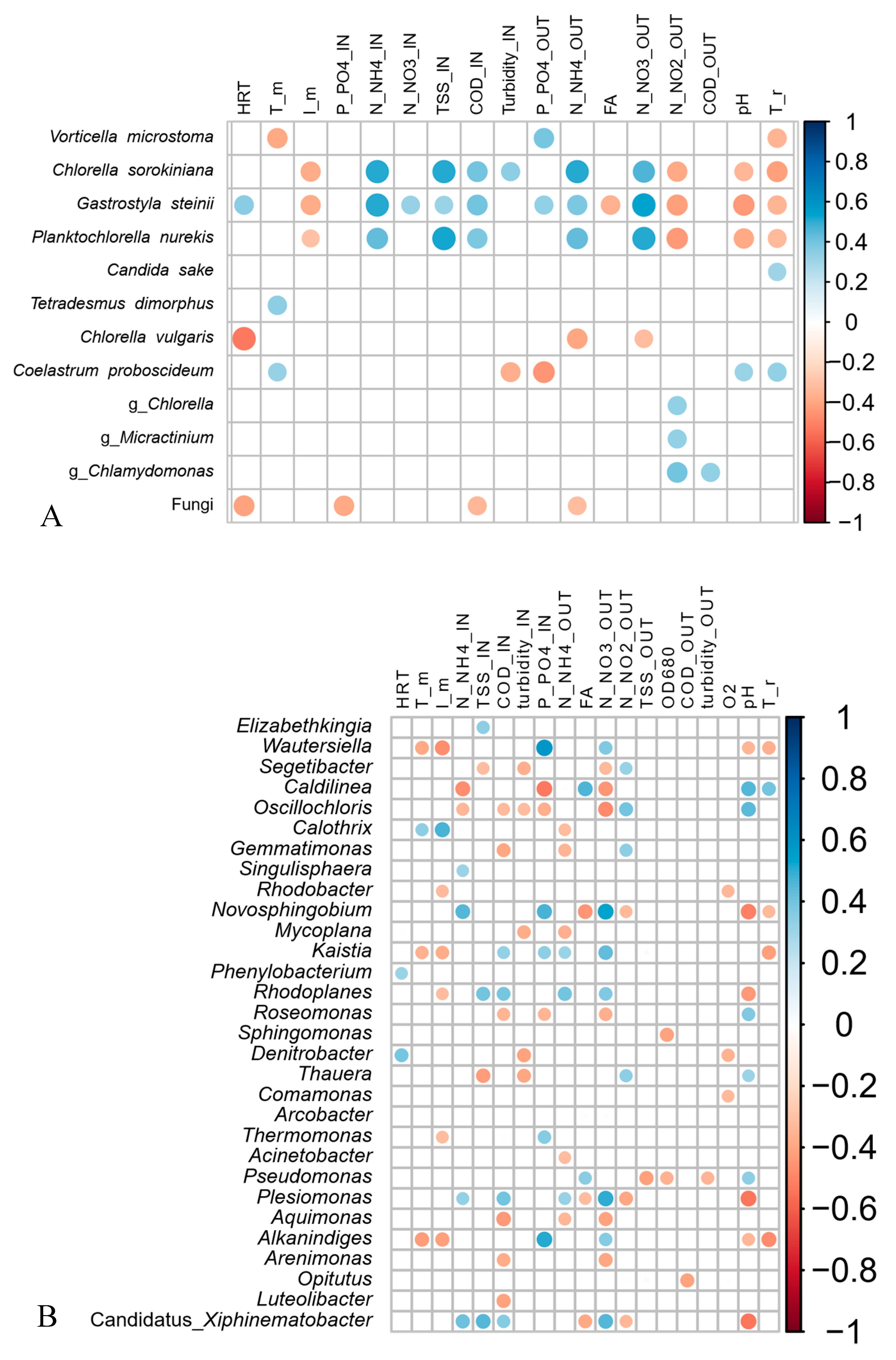 Microorganisms 08 01754 g008 Microorganisms 08 01754 g008