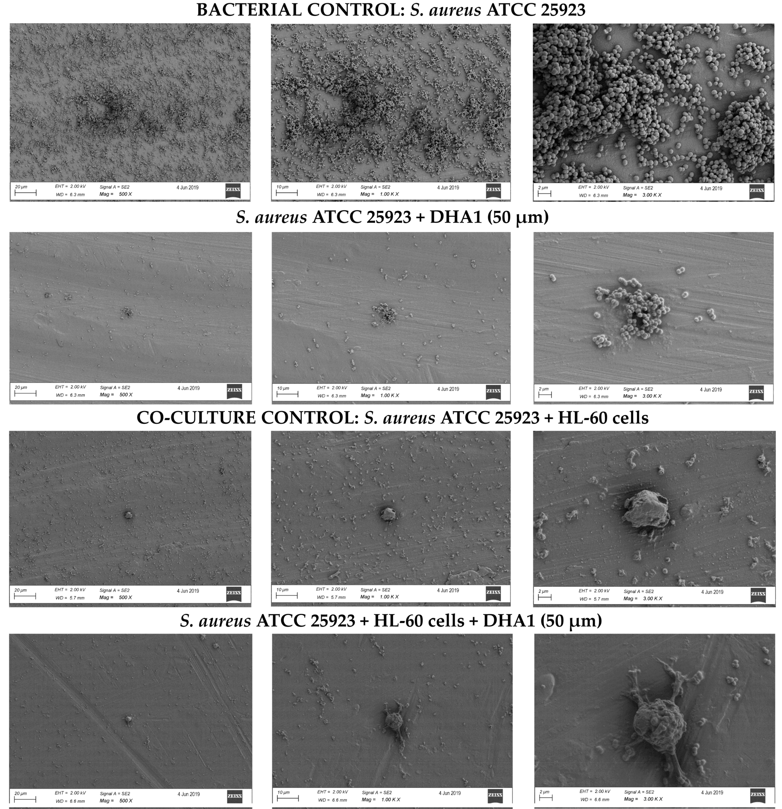 Microorganisms 08 01757 g005
