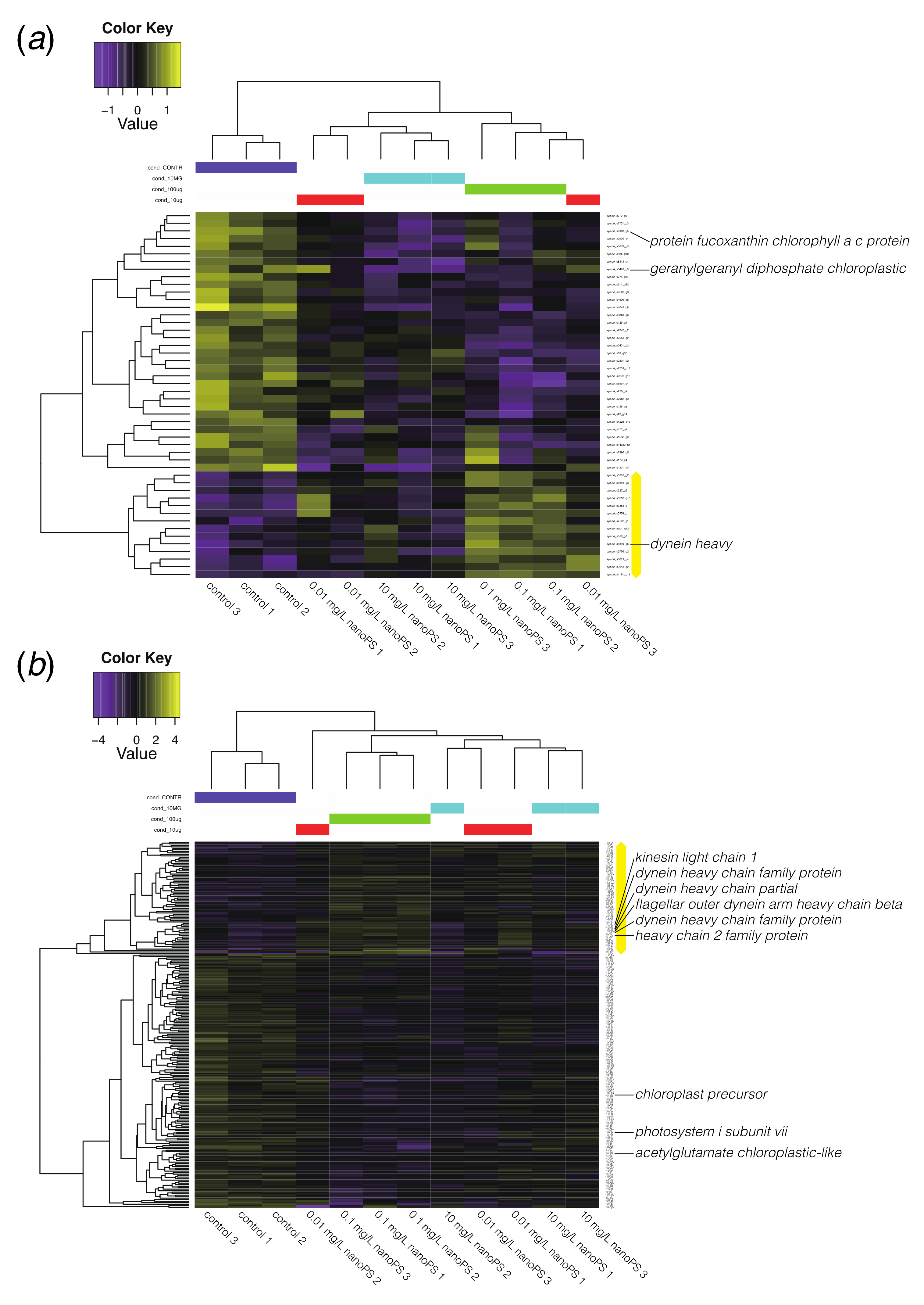 Microorganisms 08 01759 g004