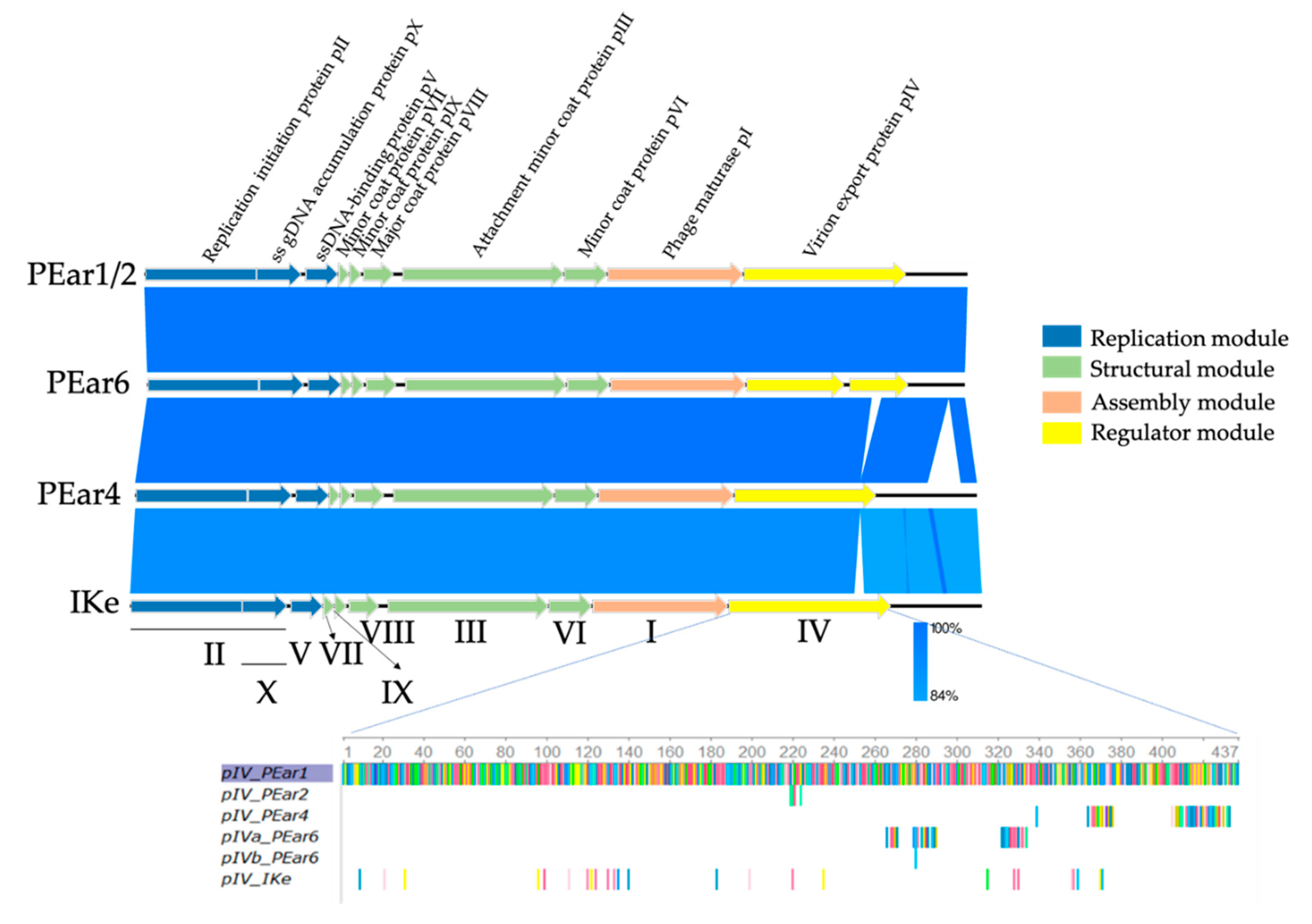 Microorganisms 08 01762 g002