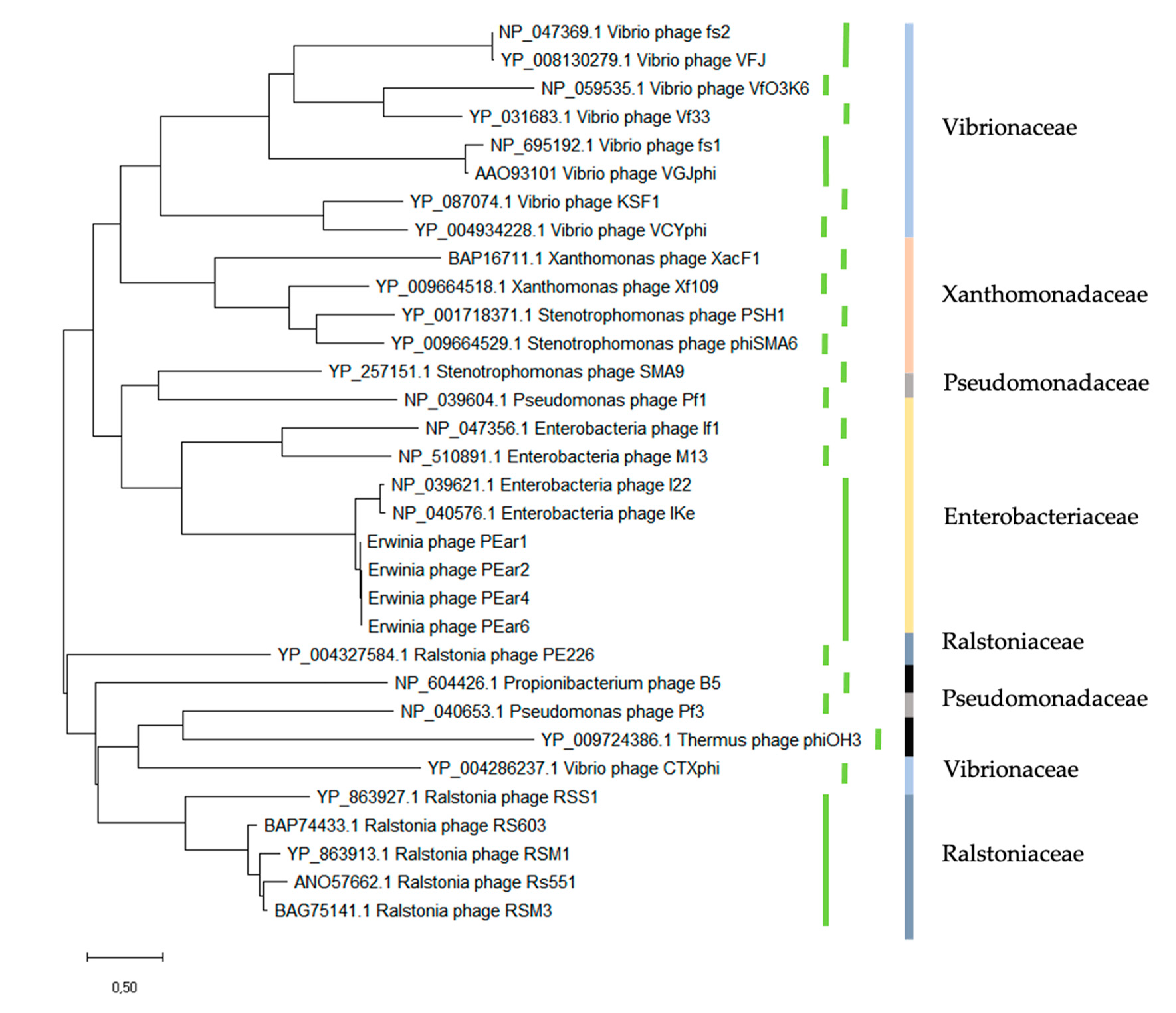 Microorganisms 08 01762 g003