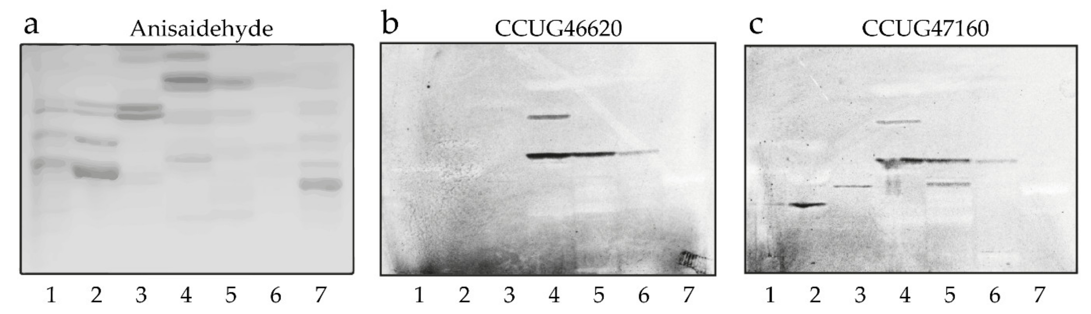 Microorganisms 08 01780 g005