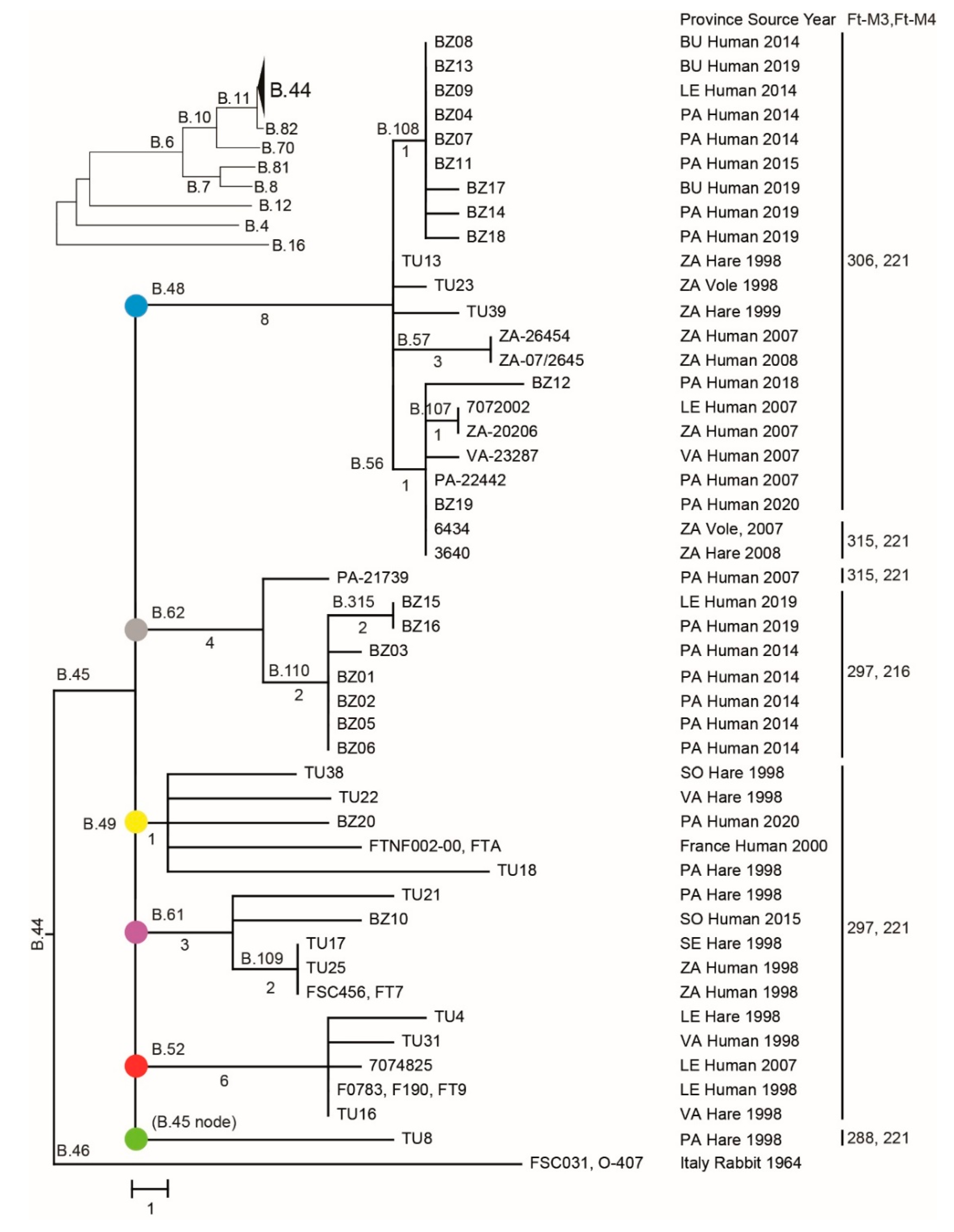 Microorganisms 08 01784 g001 Microorganisms 08 01784 g001