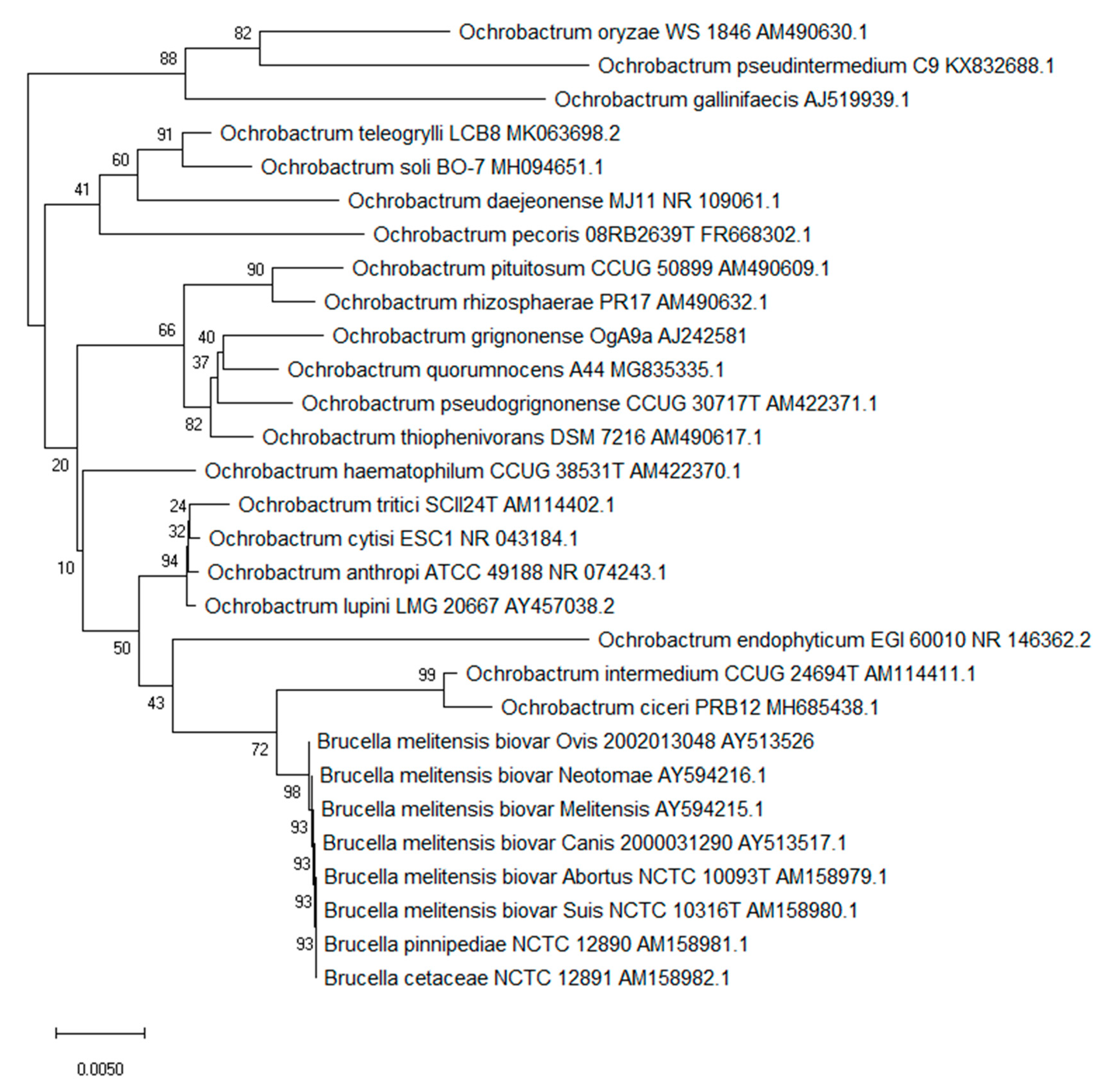 Microorganisms 08 01797 g001