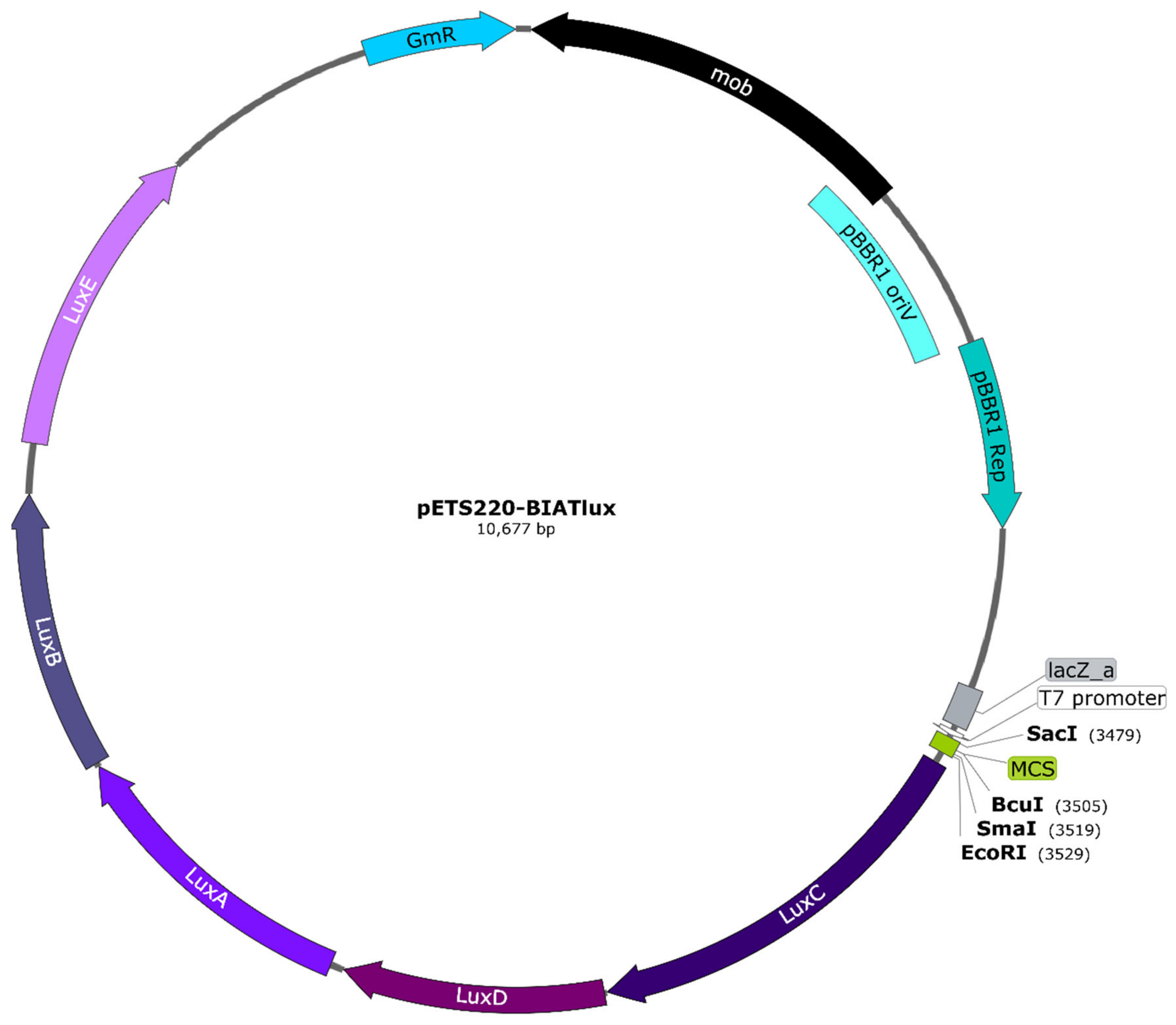 Microorganisms 08 01798 g003