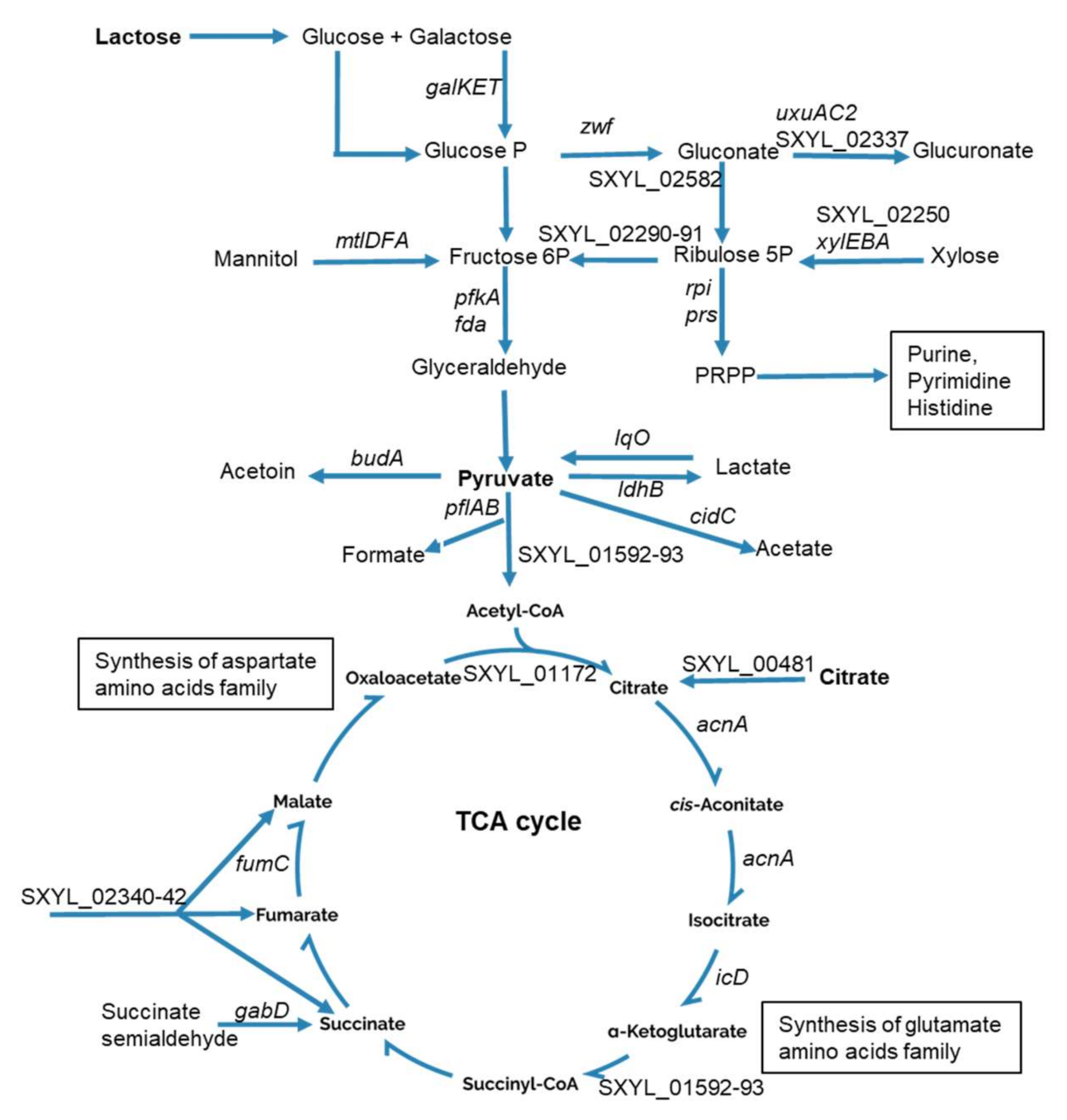 Microorganisms 08 01807 g001 Microorganisms 08 01807 g001