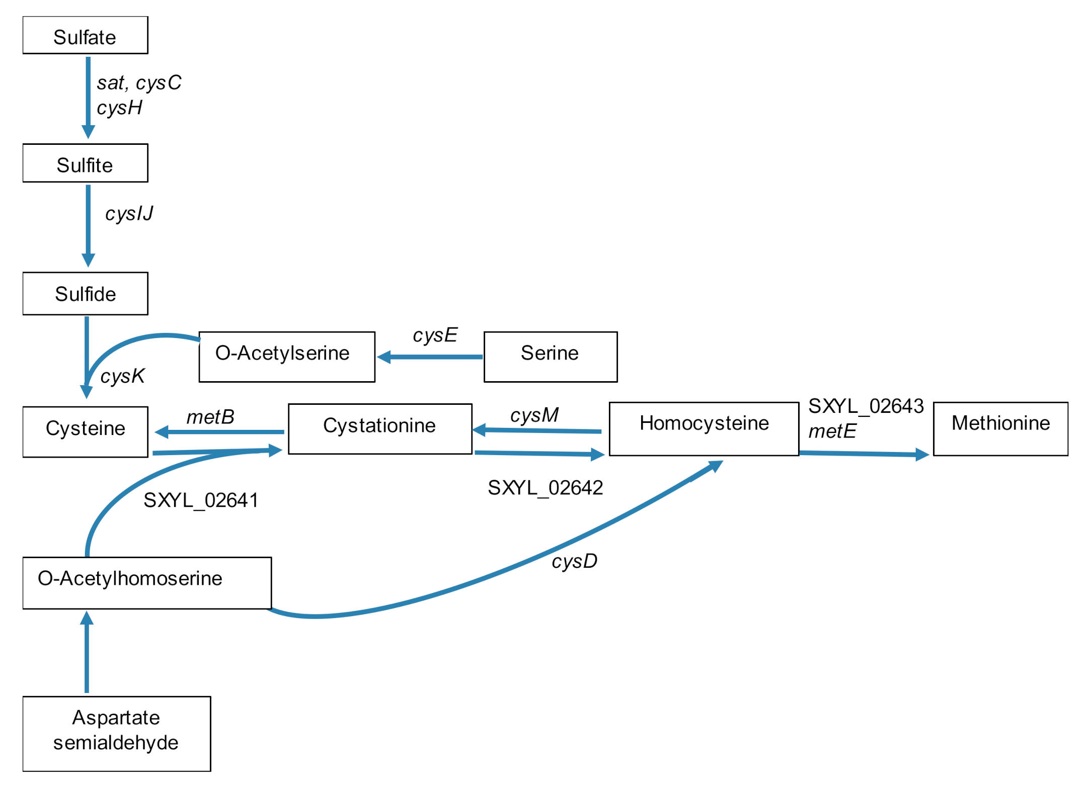 Microorganisms 08 01807 g003 Microorganisms 08 01807 g003