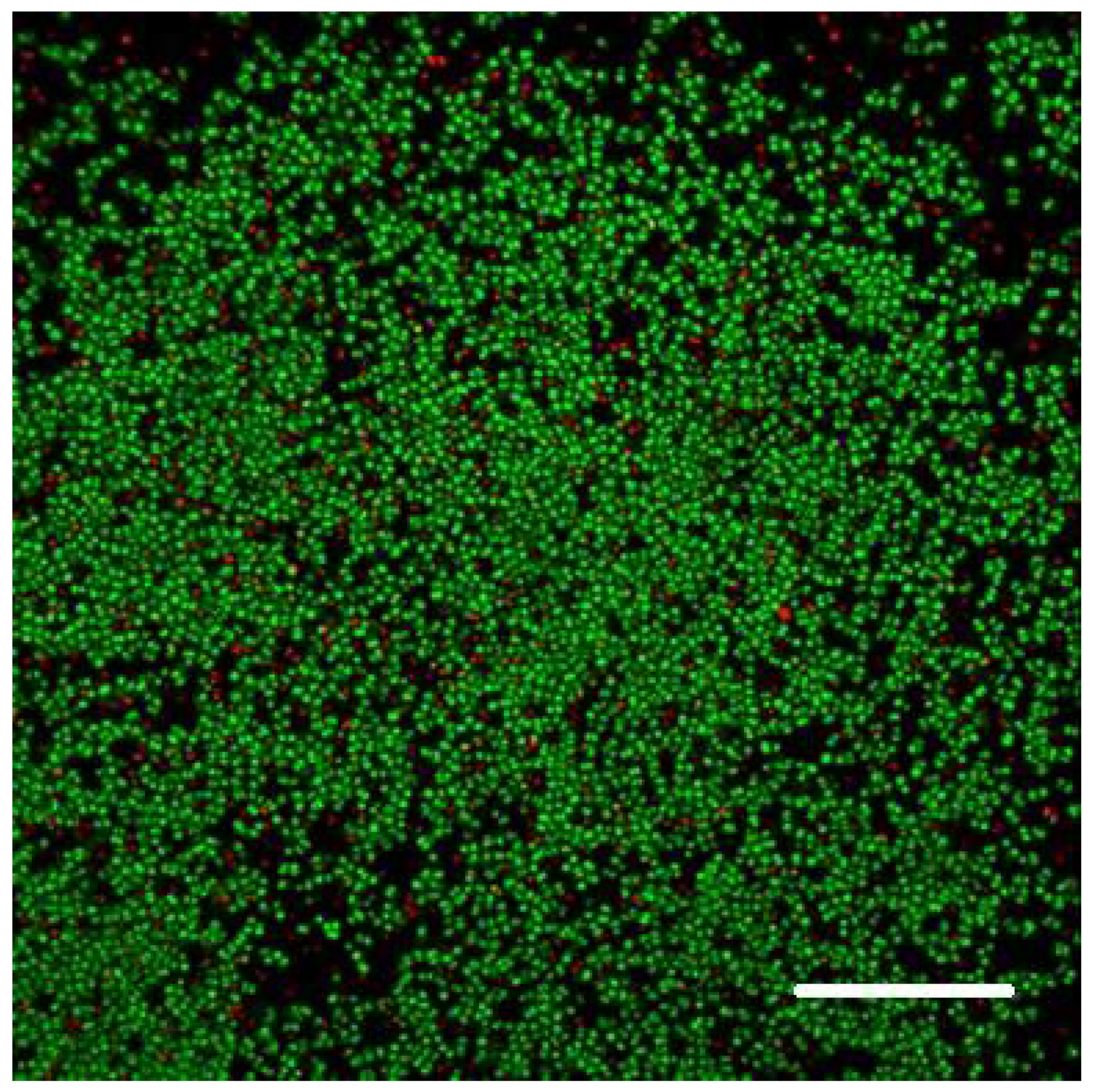 Microorganisms 08 01837 g001