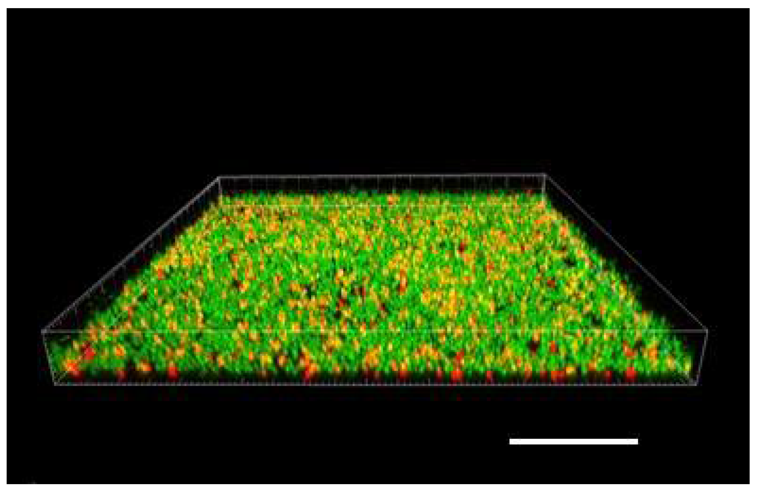 Microorganisms 08 01837 g002