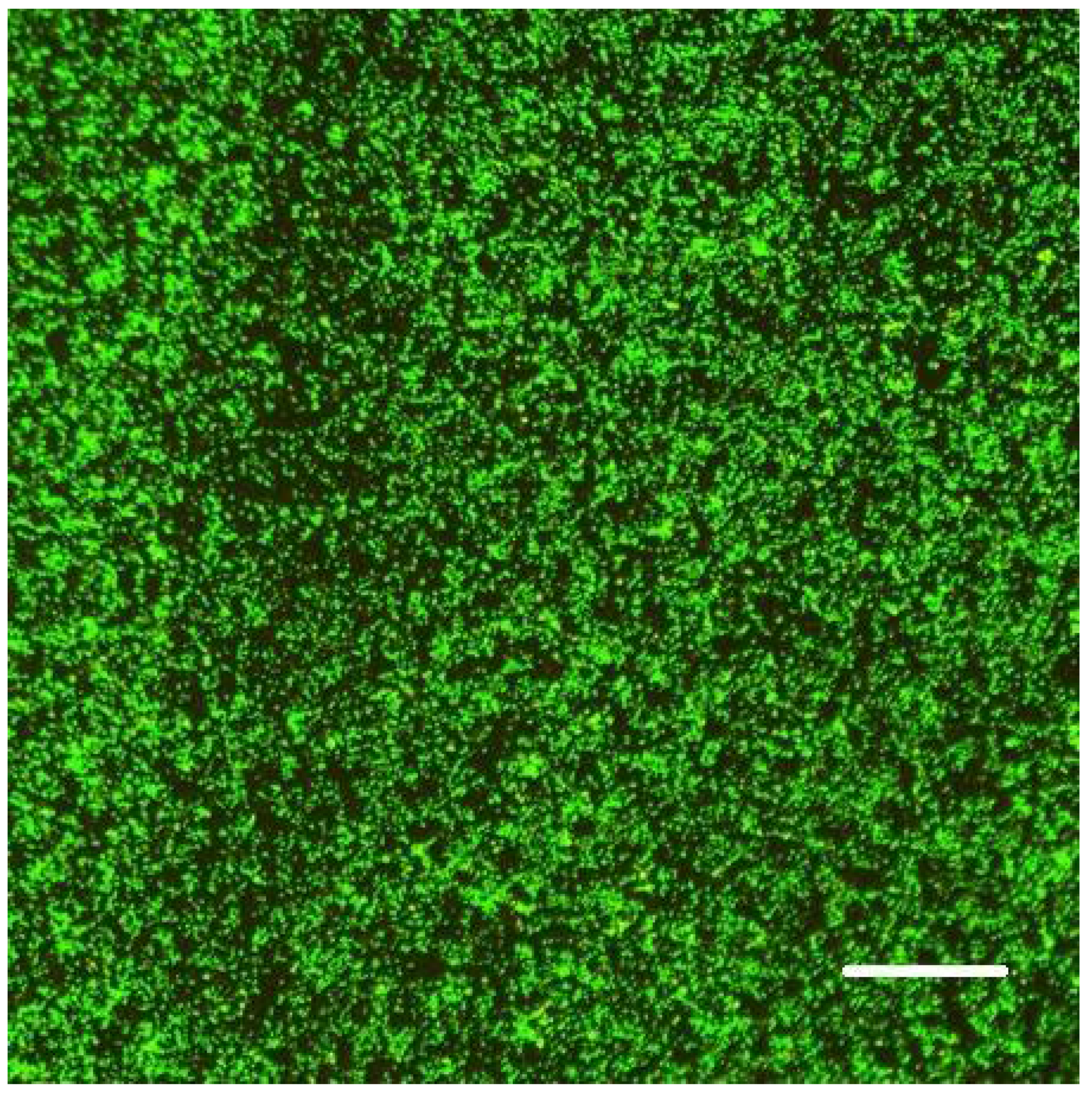 Microorganisms 08 01837 g003